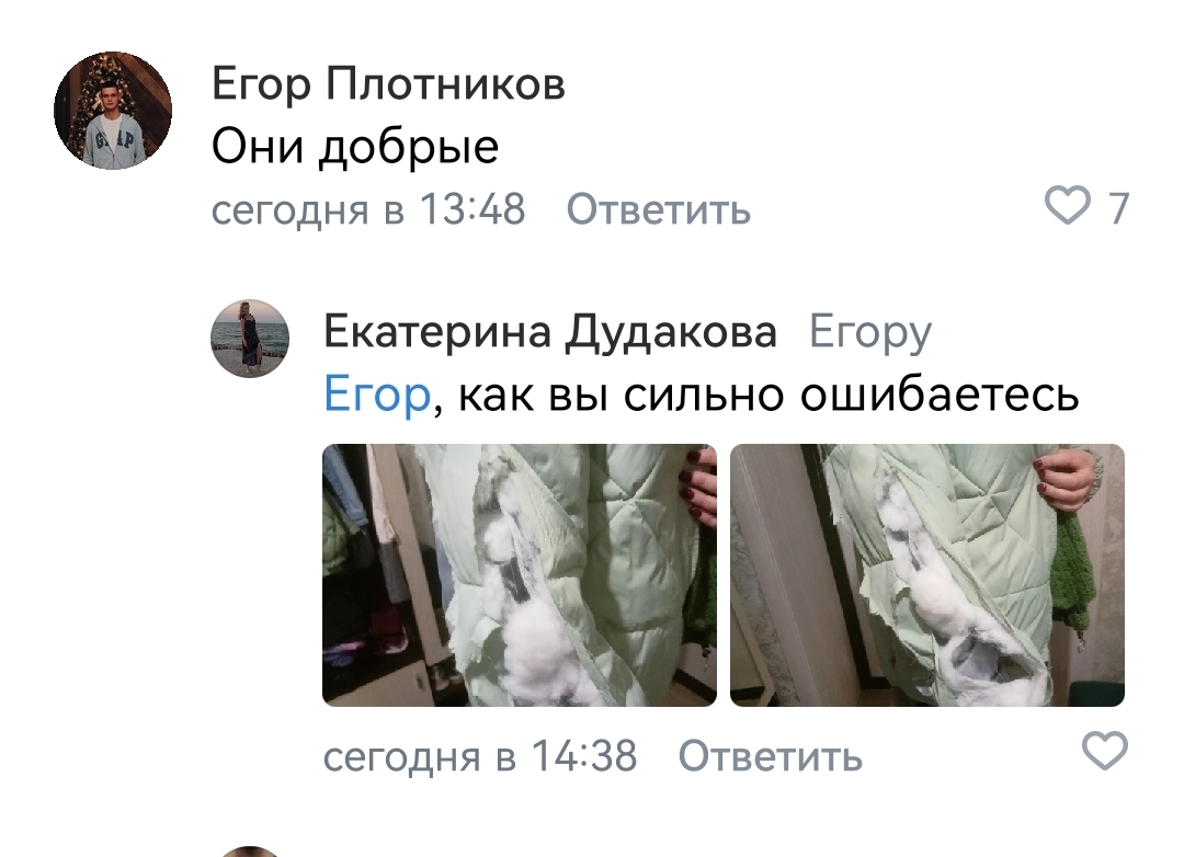 However, nothing new... Zooshiza in Yeysk - Chulman, In contact with, Radical animal protection, VKontakte (link), Longpost, Dog, Negative, Stray dogs, A wave of posts, Screenshot, Comments