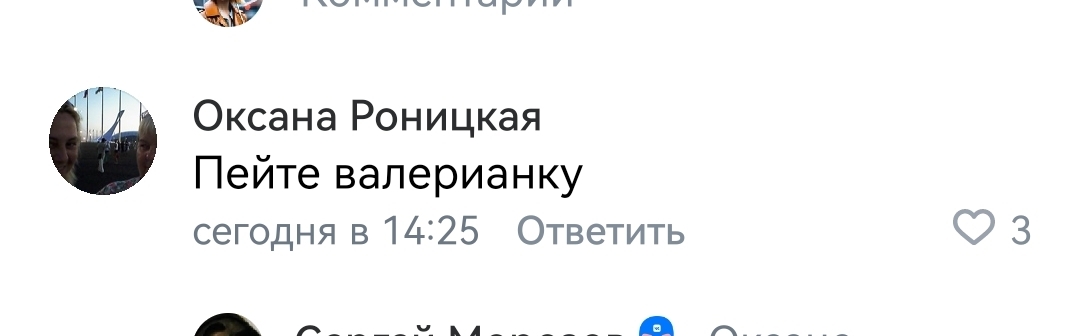 However, nothing new... Zooshiza in Yeysk - Chulman, In contact with, Radical animal protection, VKontakte (link), Longpost, Dog, Negative, Stray dogs, A wave of posts, Screenshot, Comments