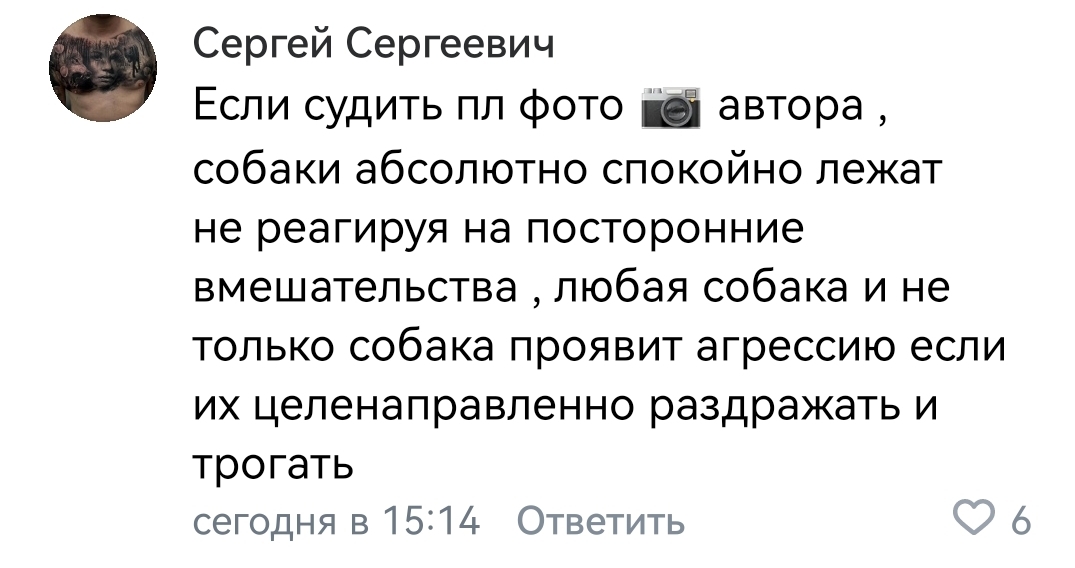 However, nothing new... Zooshiza in Yeysk - Chulman, In contact with, Radical animal protection, VKontakte (link), Longpost, Dog, Negative, Stray dogs, A wave of posts, Screenshot, Comments