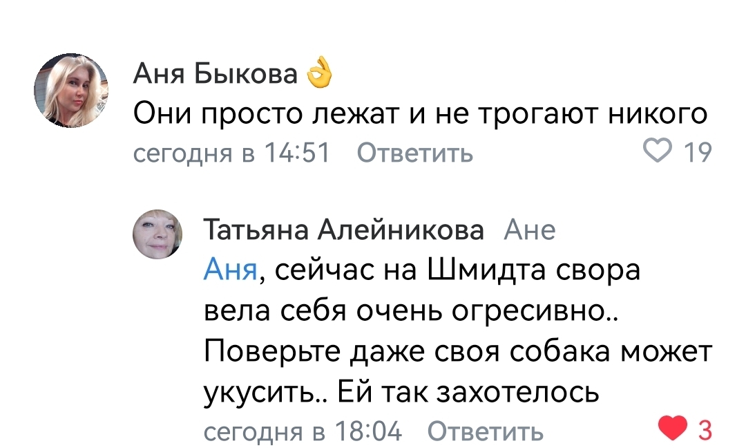 However, nothing new... Zooshiza in Yeysk - Chulman, In contact with, Radical animal protection, VKontakte (link), Longpost, Dog, Negative, Stray dogs, A wave of posts, Screenshot, Comments