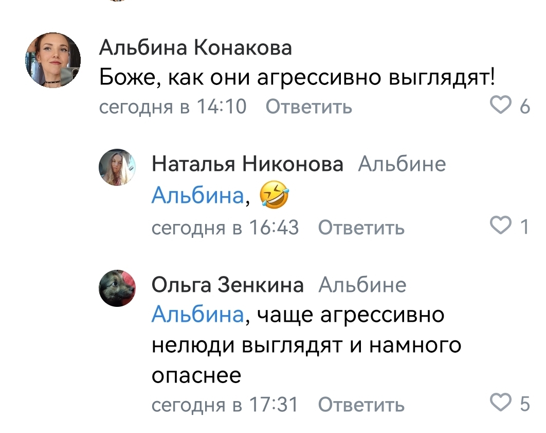 However, nothing new... Zooshiza in Yeysk - Chulman, In contact with, Radical animal protection, VKontakte (link), Longpost, Dog, Negative, Stray dogs, A wave of posts, Screenshot, Comments