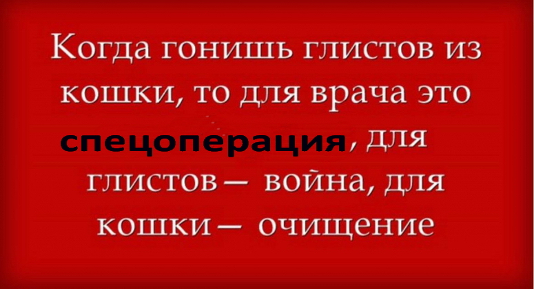 Памятка всем - Спецоперация, Общество, Кот, Странный юмор, Картинка с текстом, Глисты, Зашакалено, Повтор