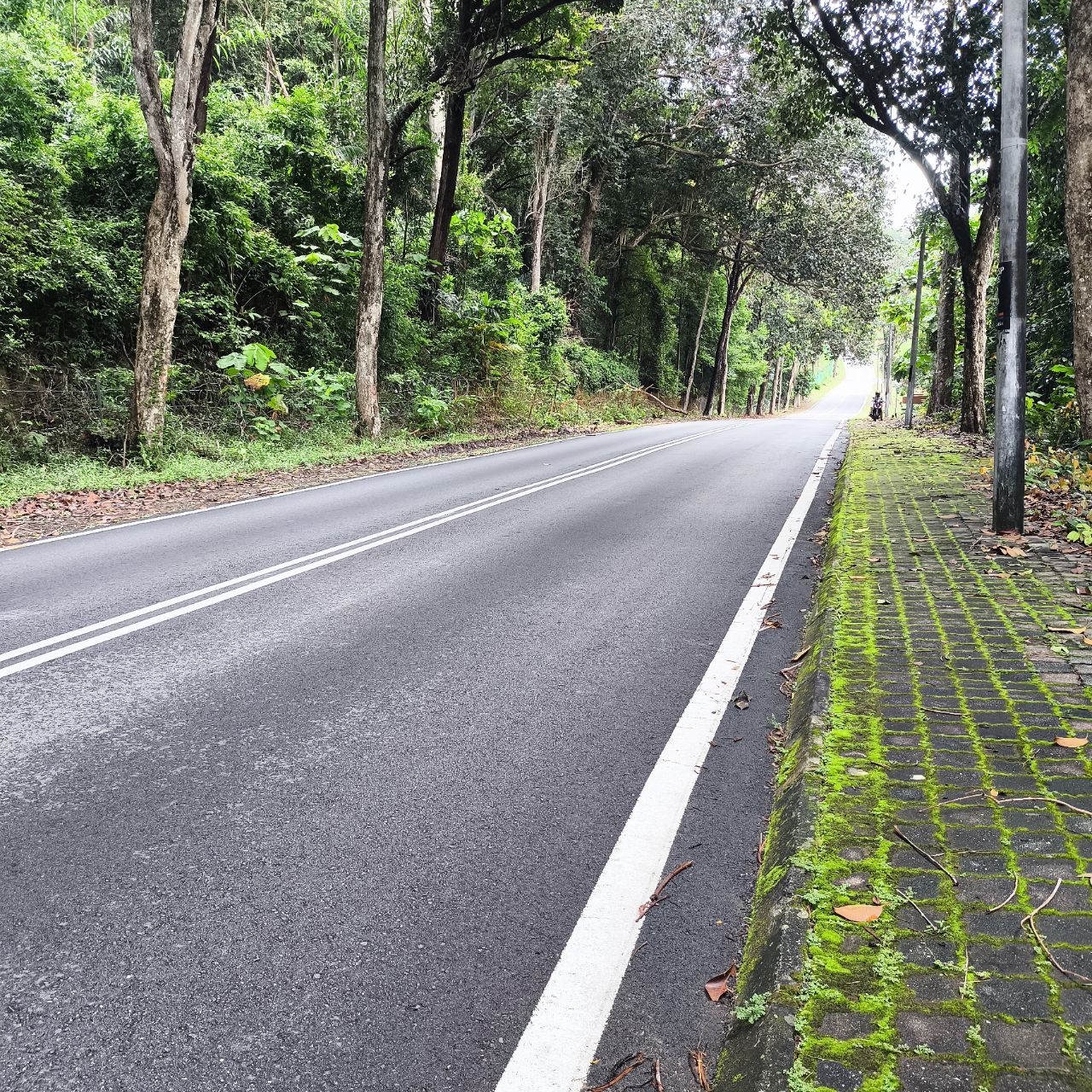 Melanesia Travel Diary. Malaysia. Day 115. Time to Go - My, Travels, Informative, Drive, Around the world, Sea, Malaysia, Video, Vertical video, Longpost