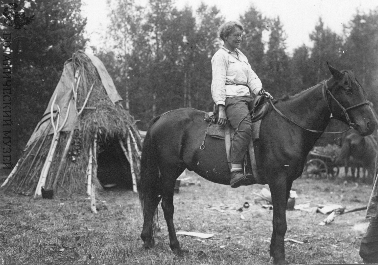 Тюлина Людмила Николаевна (1897 – 1991) – русский геоботаник - Моё, История России, История (наука), Ботаника, Исследования, Байкал, Экспедиция, Листвянка, Длиннопост