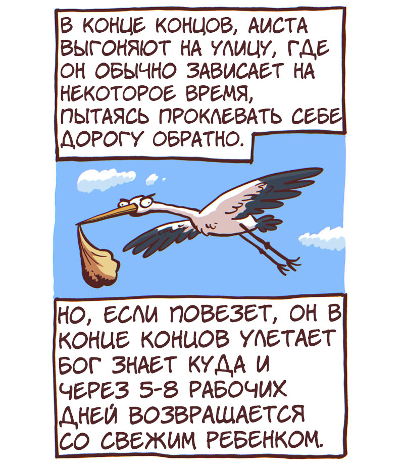 Stork - My, The other end, Neil Kohney, Translated by myself, Comics, Father, A son, Stork, Children, Longpost, Strange humor