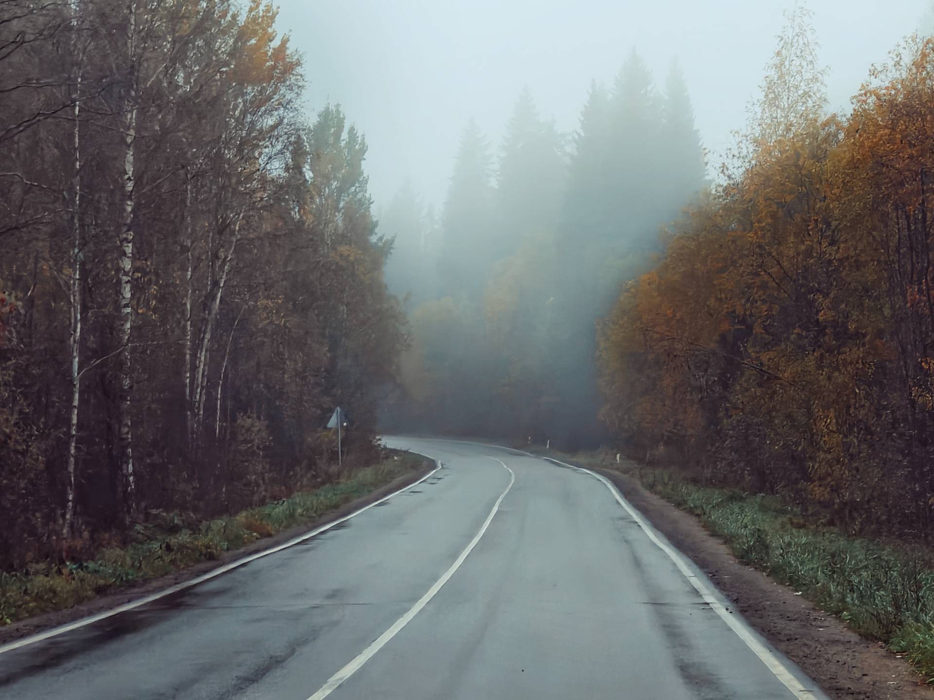 Road to work - My, The photo, Landscape, Road, Autumn, Fog, Leningrad region, Forest, Cloudy