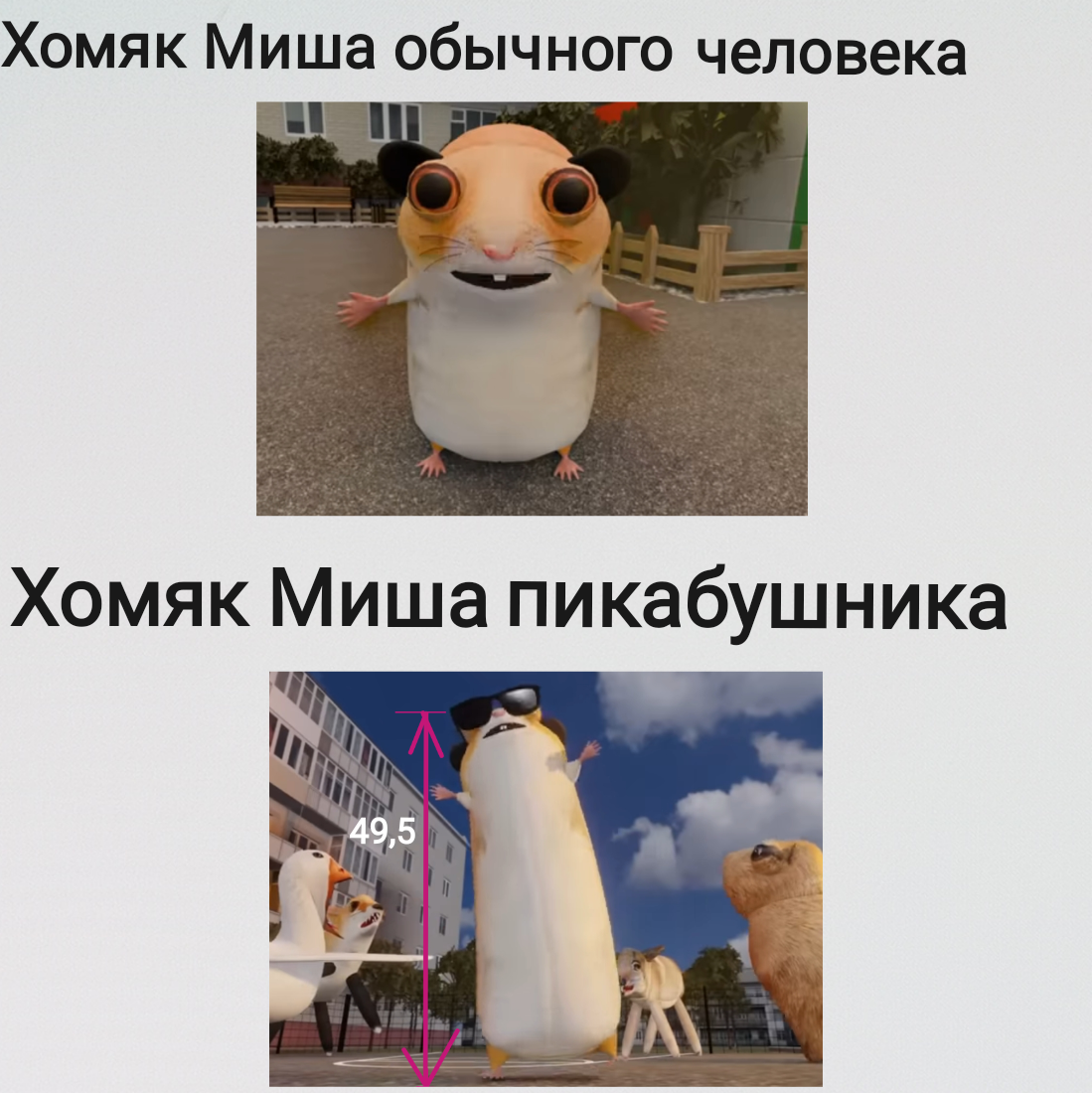 �������� ������� ����-���: ����.