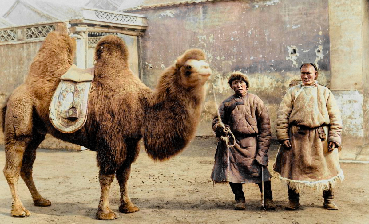 Curious Photos from the Past of Asian Countries. 20 Colorized Photos of the 20th Century. Part II - My, Historical photo, Old photo, 19th century, 20th century, Asia, China, Japan, Корея, The photo, Longpost