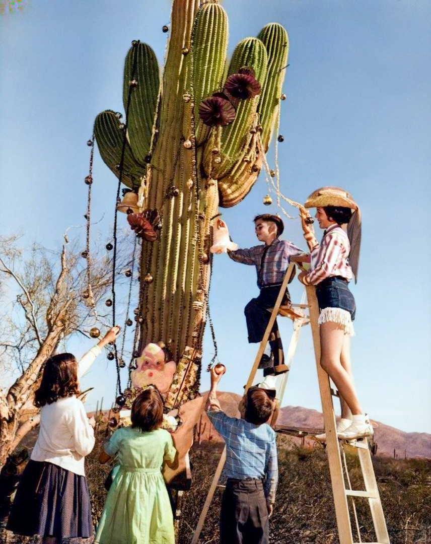 A selection of interesting and unusual photographs from the USA. 20 colorized photographs of the 20th century. Part IX - My, Historical photo, Old photo, USA, 20th century, Colorization, Longpost