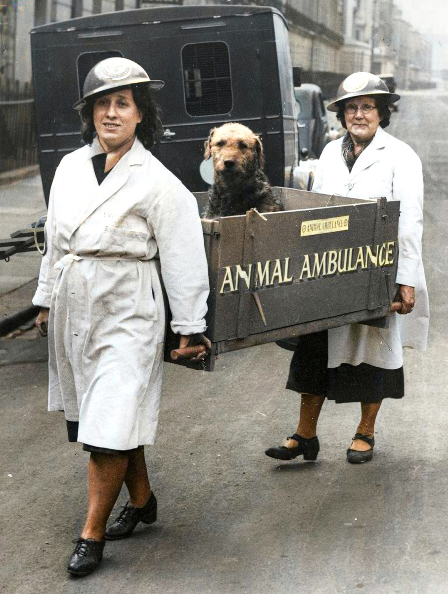 Curious Photos from Britain's Past. 20 Colorized Photographs of the 20th Century. Part VII - My, Old photo, Historical photo, The photo, Colorization, England, Great Britain, 20th century, Longpost