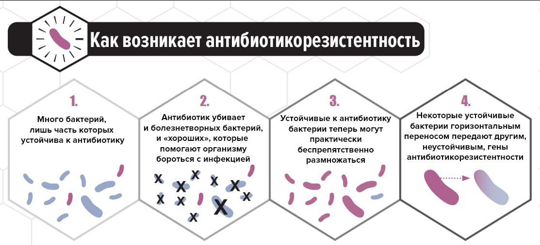 Новый материал против антибиотикоустойчивых бактерий - Моё, Антибиотики, Лекарства, Медицина, Исследования, Наука, Бактерии, Инновации, Ученые