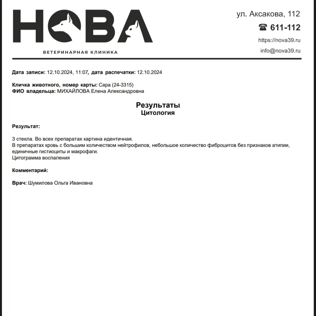 Сарочке сделали пункцию - Моё, Кот, Спасение животных, Жизнь, Без рейтинга, Спасибо, Здоровье, Длиннопост