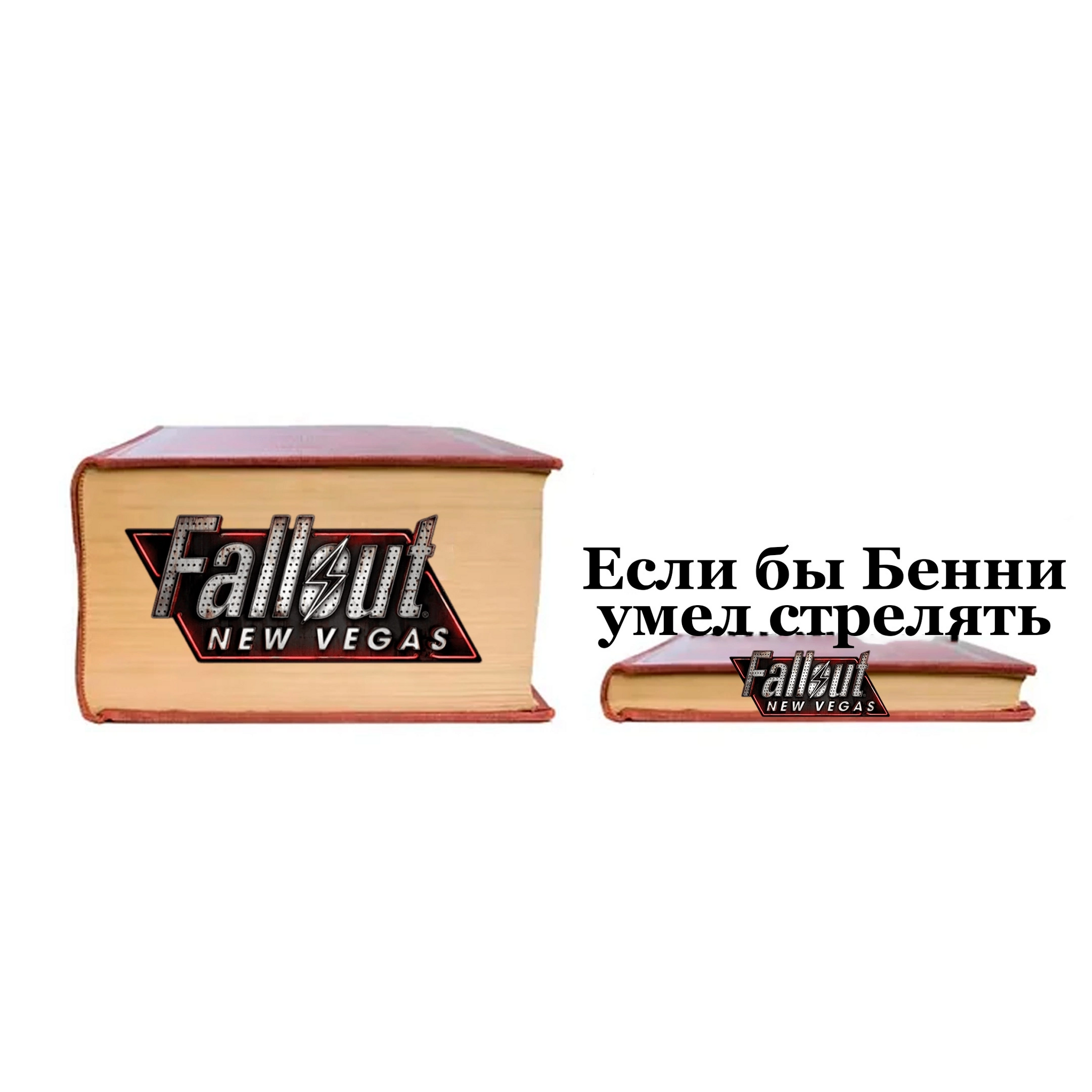 Fallout new vegas - Fallout: New Vegas, Memes, Picture with text