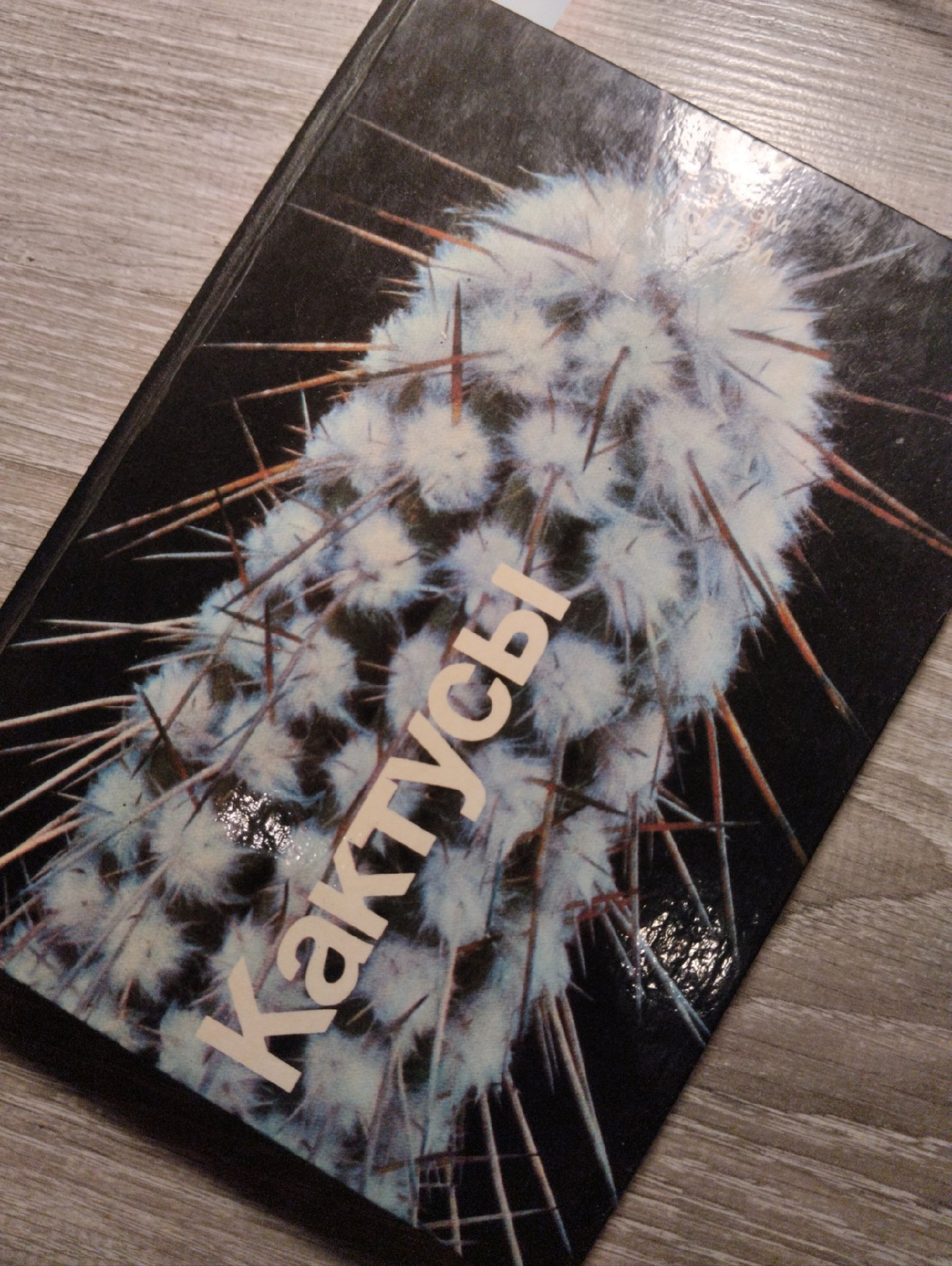 Book No. 1 E. Lam B. Lam Cacti - My, Hobby, Houseplants, Cactus, Plants, Books, Review, Bloom, Gardening, Longpost