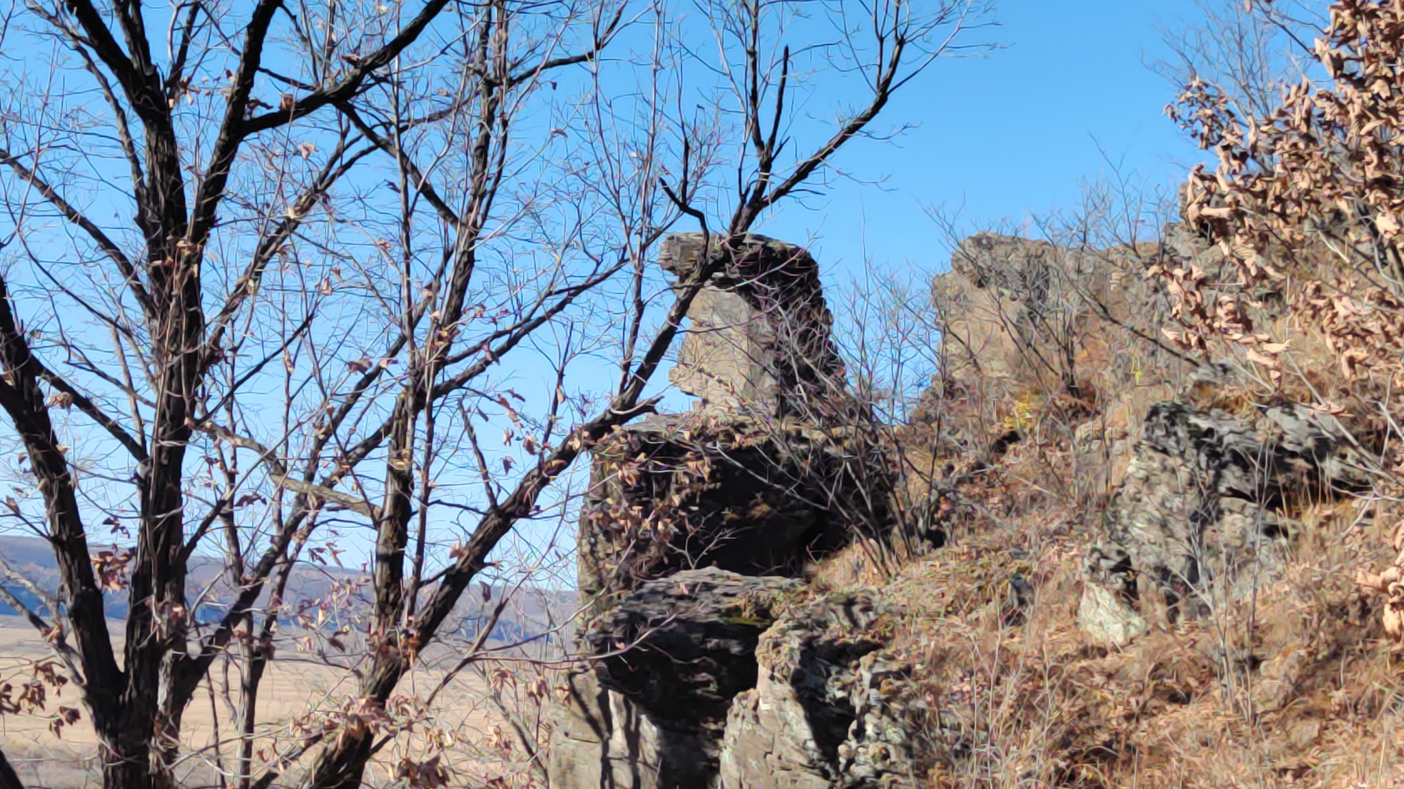 Mikhailovskie Pillars. One of the wonders of the Amur region. Dinosaurs walked here? - My, Travels, Adventures, Summer, Nature, The rocks, Blagoveshchensk, Amur region, Tourism, Autumn, Hike, Paleontology, Ancient artifacts, Longpost