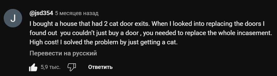 Solution to the problem - Screenshot, cat, Comments, English language, Translation