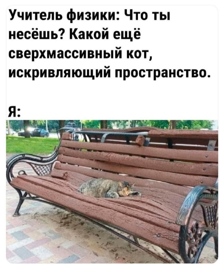 There are things above science - Picture with text, Humor, cat, Repeat, Benches, Hardened