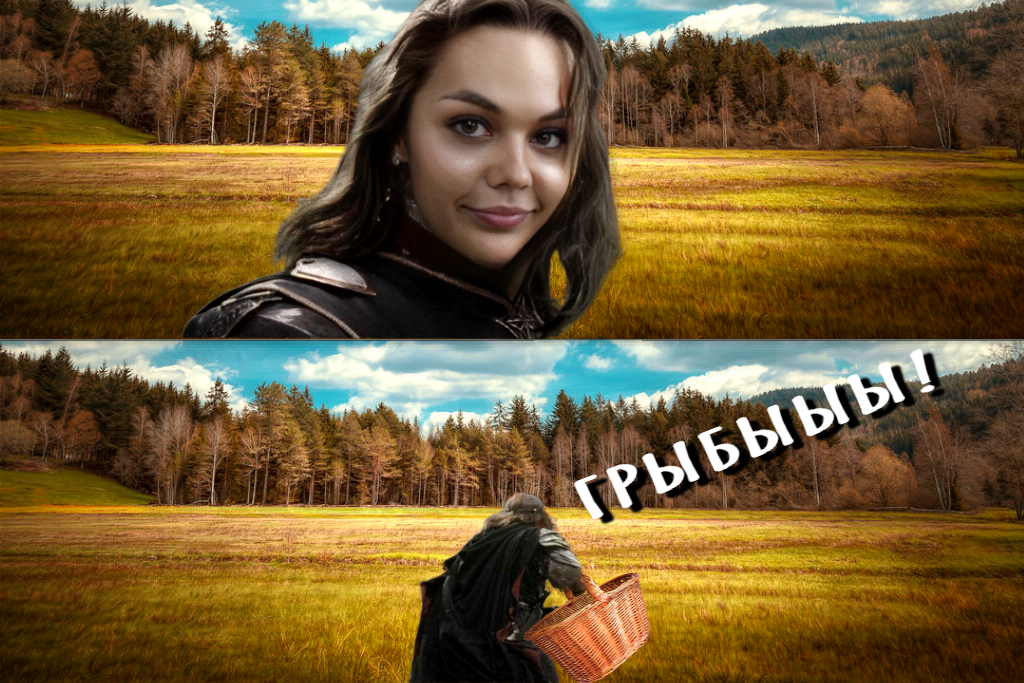 Hobbymishroom - My, Humor, Olz777, Nostrils, Girls, Hobby, Mushrooms, Mushroom pickers, Memes, Lord of the Rings, Photoshop, Collage, Picture with text, Autumn