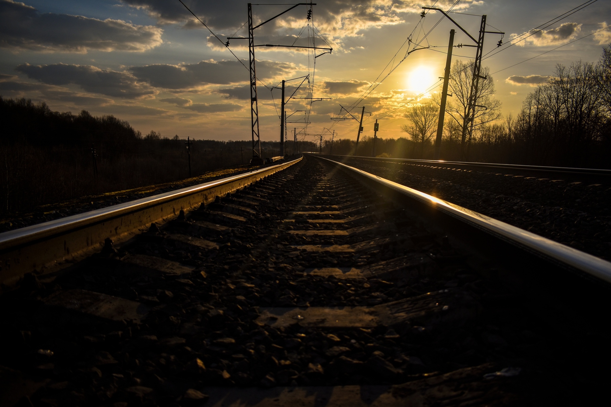 Good afternoon - My, Photographer, The photo, Beautiful view, A train, Railway, Sunset, Longpost