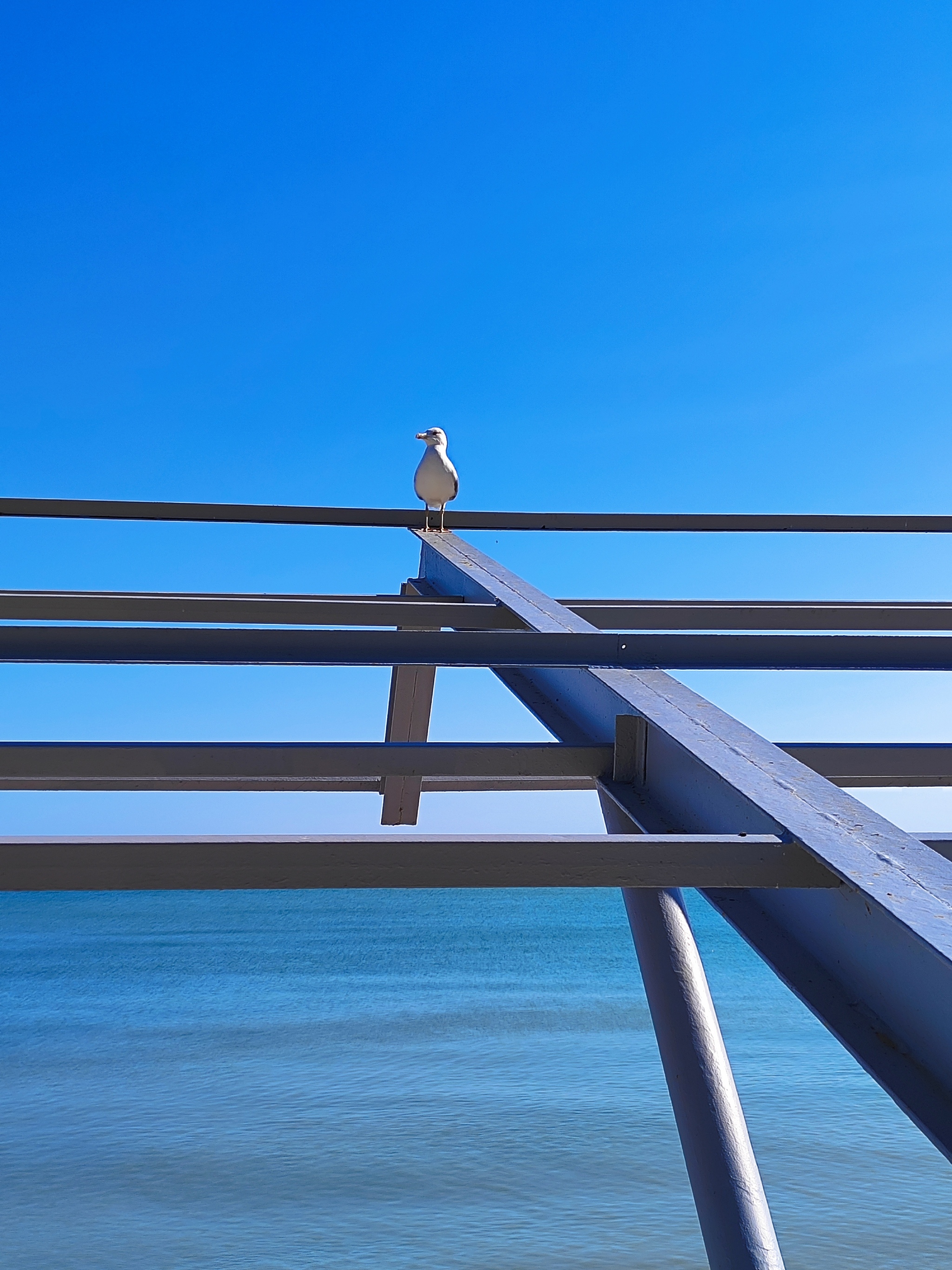 Sea - My, The photo, Sea, Crimea, Seagulls