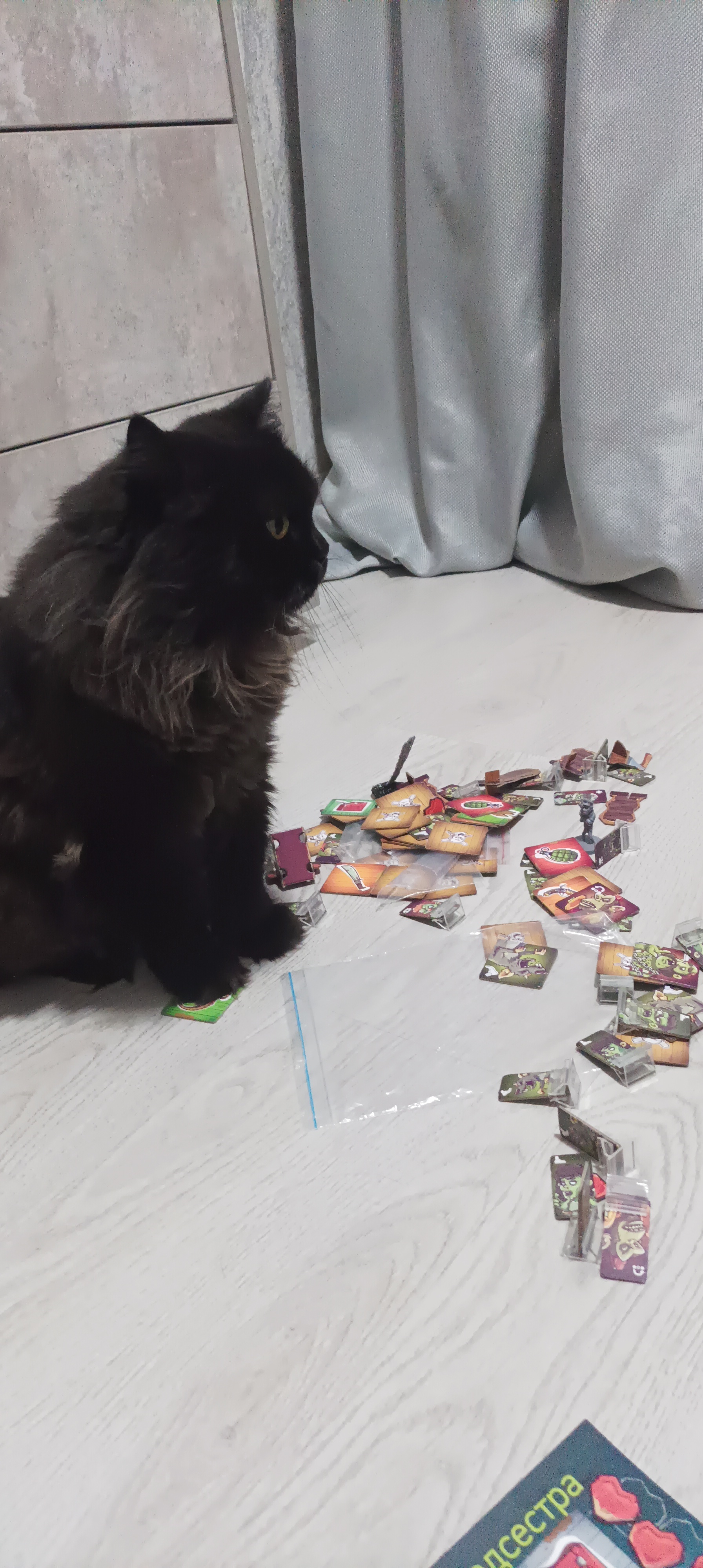 My cat. Just a fat cat with sighs of regret. Full work weeks ahead, so hold on... Go play board games! - My, Black cat, cat, Hold on, Board games, Longpost, Pets, The photo