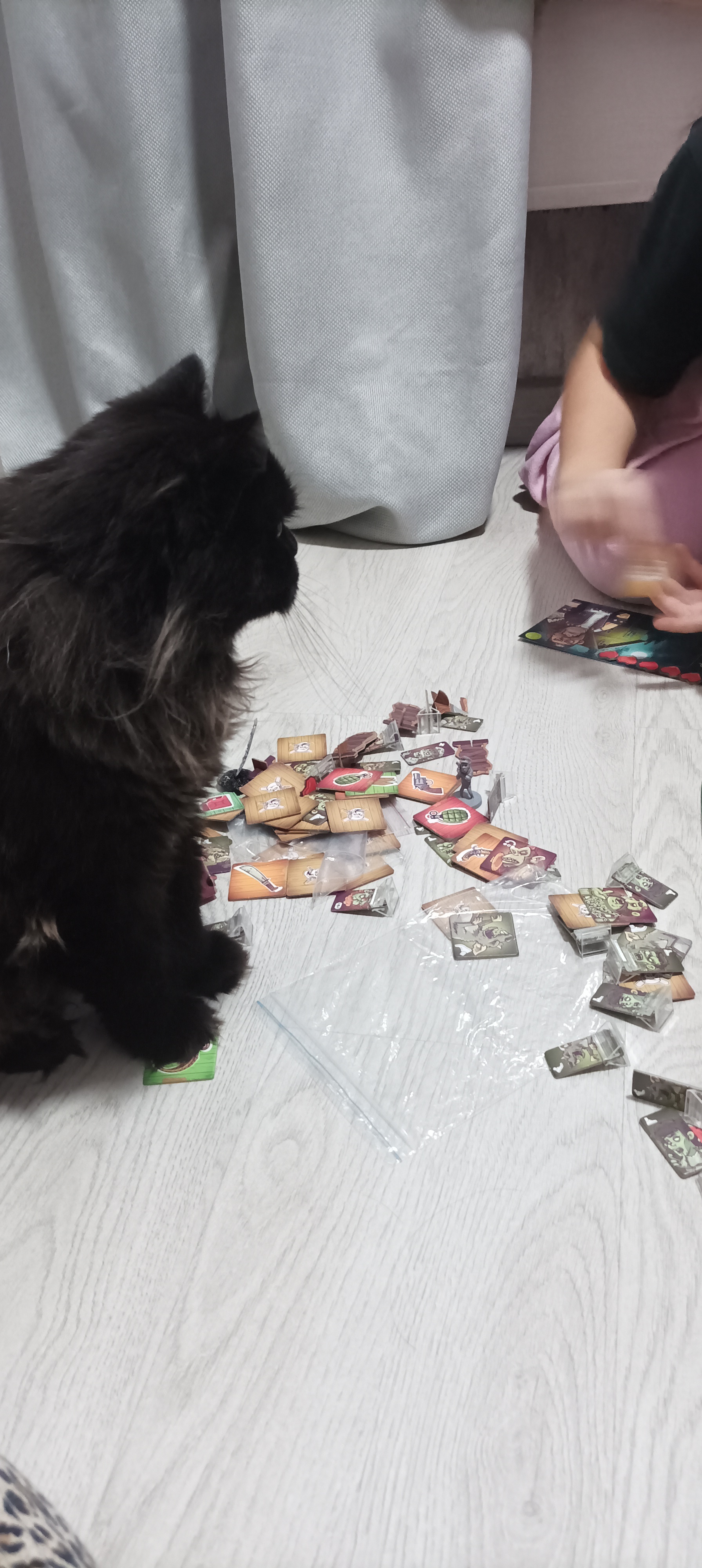 My cat. Just a fat cat with sighs of regret. Full work weeks ahead, so hold on... Go play board games! - My, Black cat, cat, Hold on, Board games, Longpost, Pets, The photo