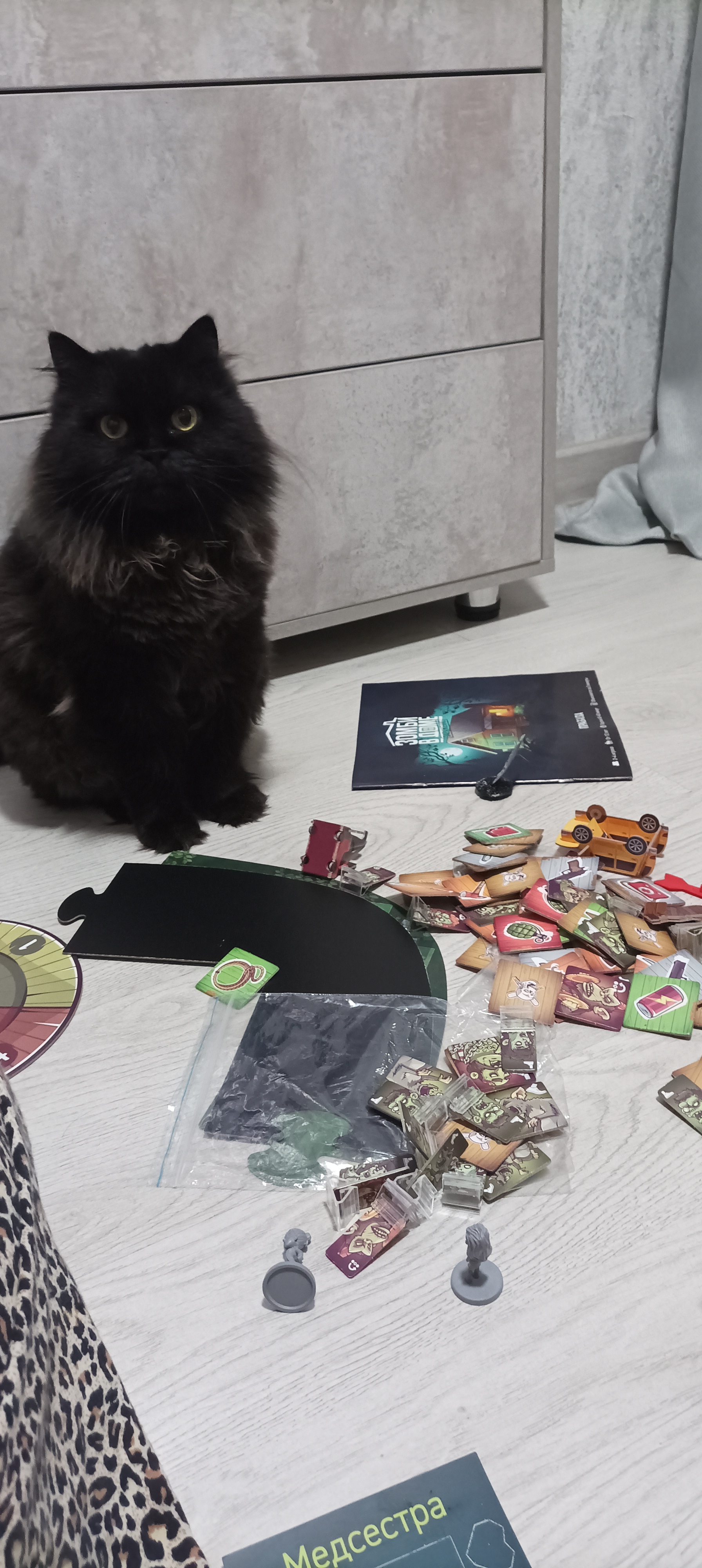 My cat. Just a fat cat with sighs of regret. Full work weeks ahead, so hold on... Go play board games! - My, Black cat, cat, Hold on, Board games, Longpost, Pets, The photo