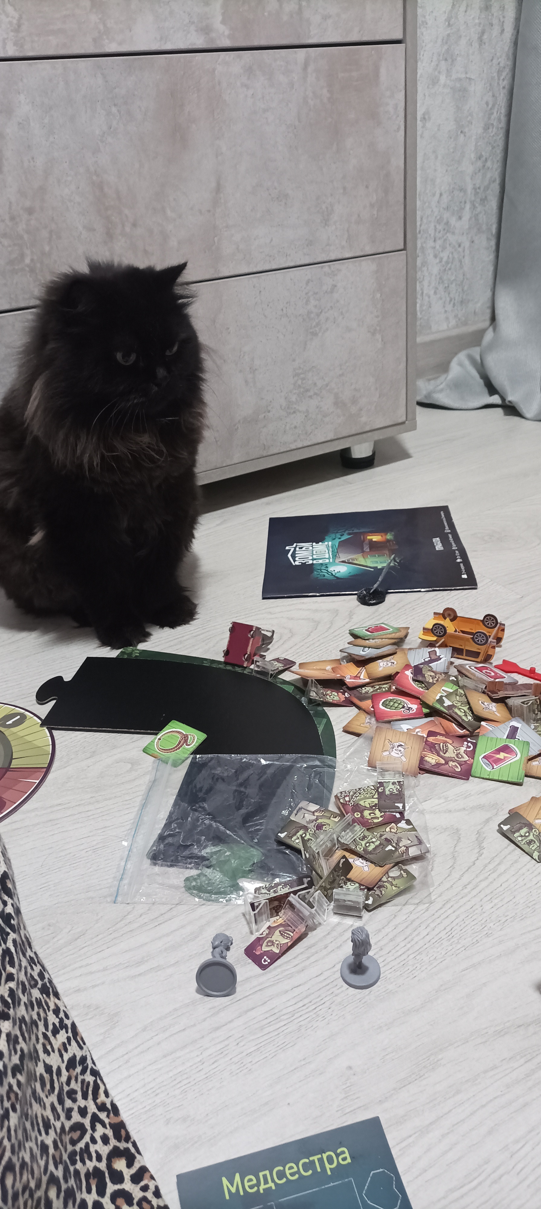 My cat. Just a fat cat with sighs of regret. Full work weeks ahead, so hold on... Go play board games! - My, Black cat, cat, Hold on, Board games, Longpost, Pets, The photo