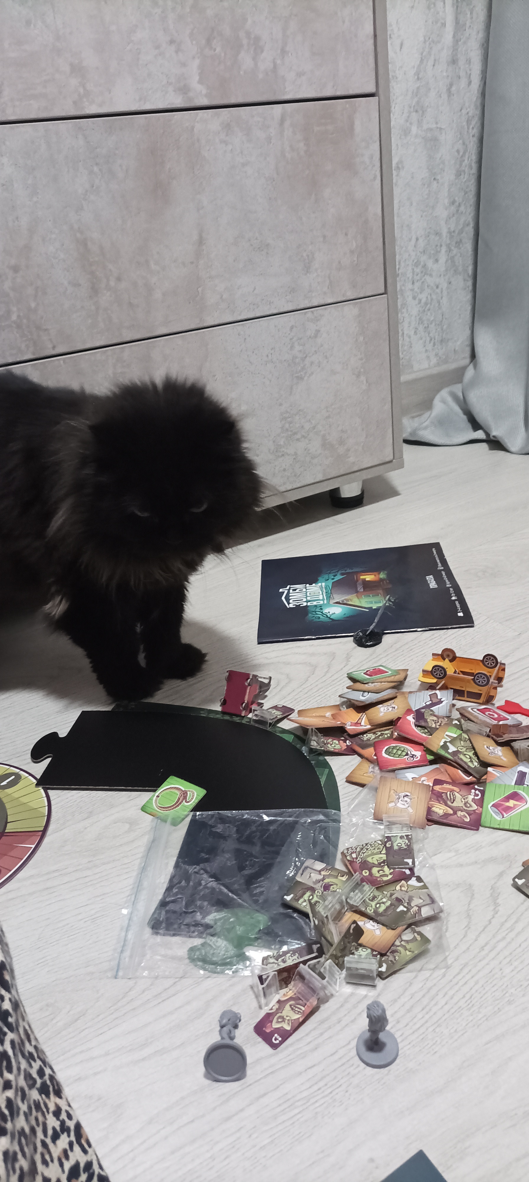 My cat. Just a fat cat with sighs of regret. Full work weeks ahead, so hold on... Go play board games! - My, Black cat, cat, Hold on, Board games, Longpost, Pets, The photo