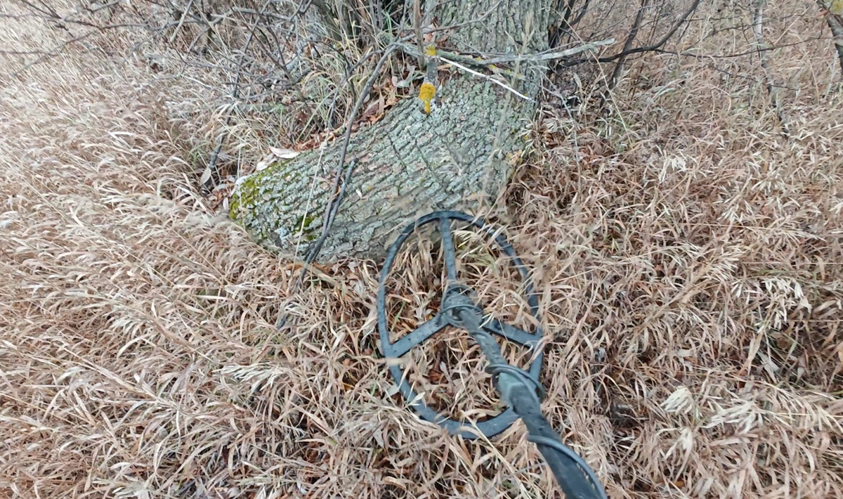 Signals I dug from the bottom of a village pond and under the roots of an old tree - My, Find, Search, Abandoned, Longpost