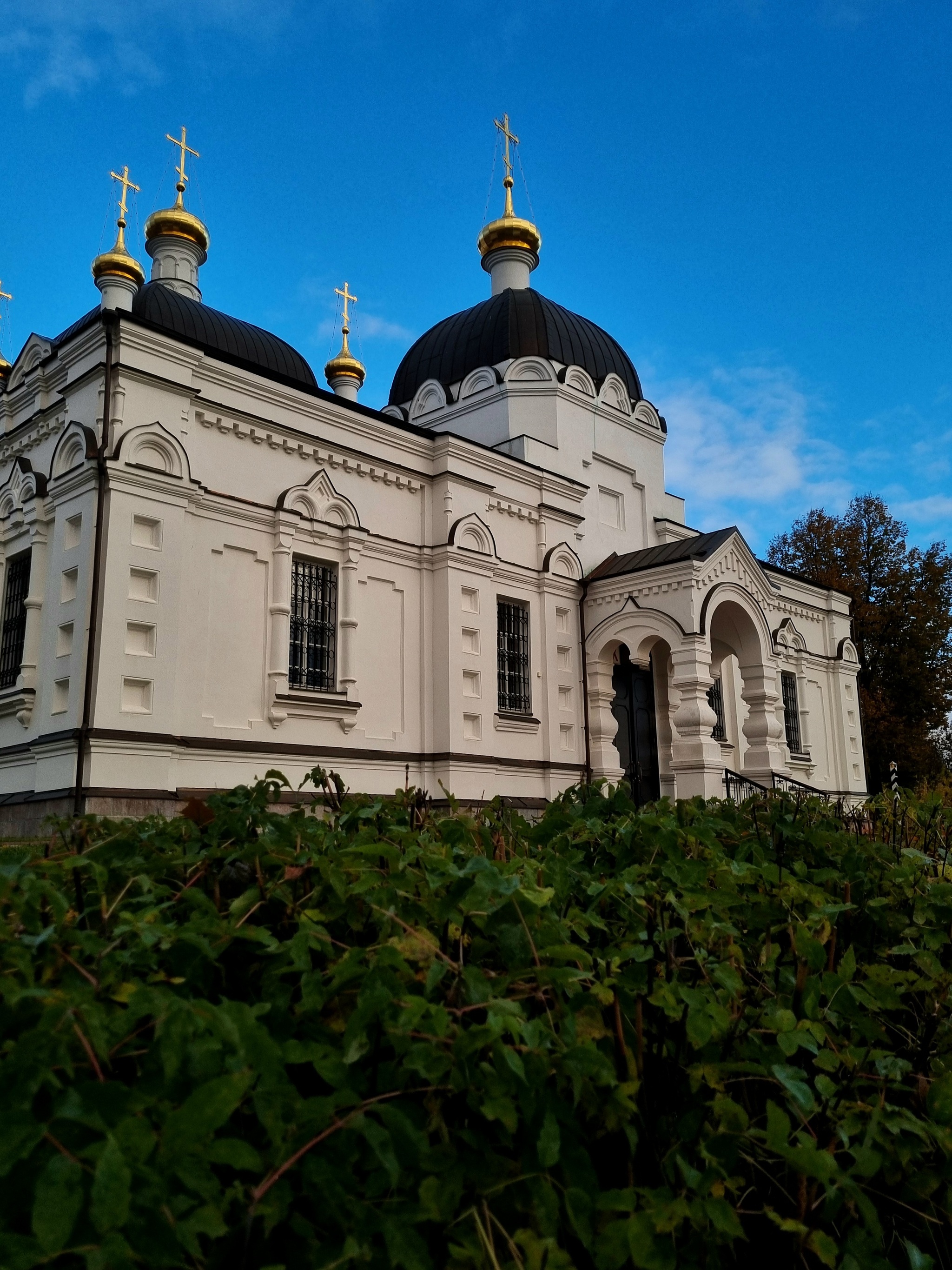 Не успев начать этот блог, я уже отклоняюсь от темы) - Моё, Любительская съемка, Мобильная фотография, Осень, Регионы, Длиннопост