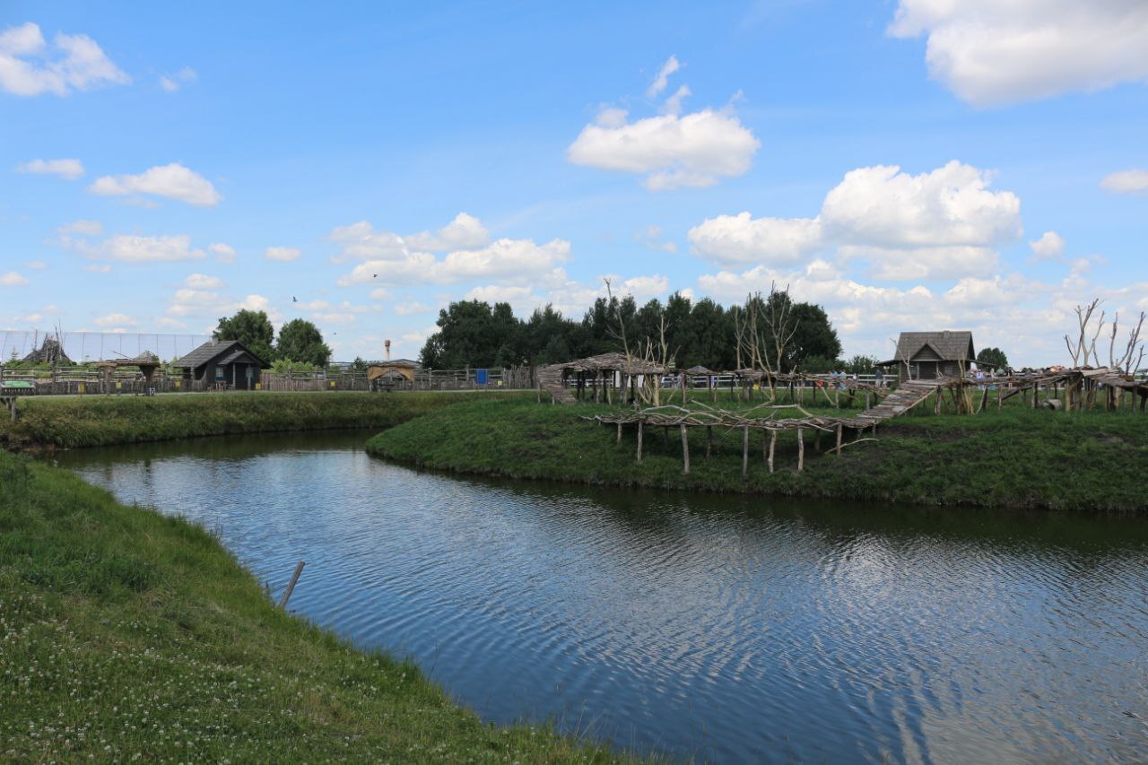 There is contact...with nature - Travels, Republic of Belarus, Lithuania, Visa-free regime, Nature, Zoo, Longpost