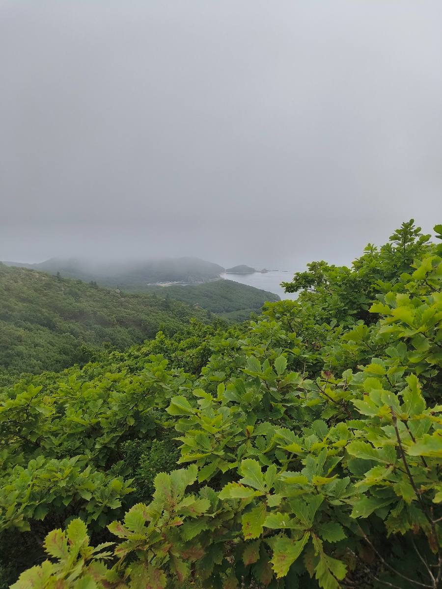 Valley of the Atlanteans. Rock Complex. The Atlanteans live there. - My, Vladivostok, Find, Adventures, Travels, Tourism, Mountaineering, Primorsky Krai, The mountains, Дальний Восток, Video, Longpost