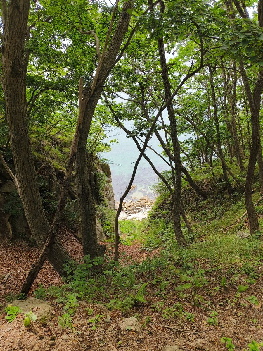 Valley of the Atlanteans. Rock Complex. The Atlanteans live there. - My, Vladivostok, Find, Adventures, Travels, Tourism, Mountaineering, Primorsky Krai, The mountains, Дальний Восток, Video, Longpost