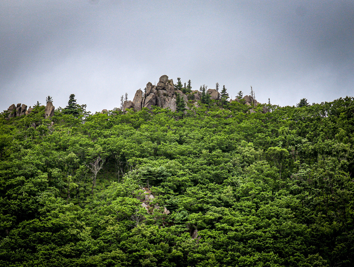 Valley of the Atlanteans. Rock Complex. The Atlanteans live there. - My, Vladivostok, Find, Adventures, Travels, Tourism, Mountaineering, Primorsky Krai, The mountains, Дальний Восток, Video, Longpost