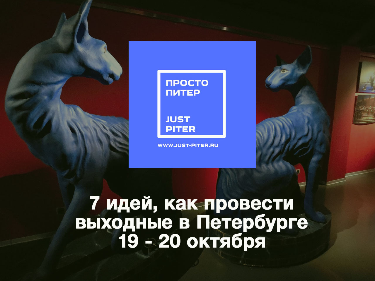 7 идей, как провести выходные в Петербурге 19 - 20 октября - Моё, Туризм, Музей, Достопримечательности, Путешествия, Фестиваль, Куда пойти, Санкт-Петербург, Шопинг, Хобби, Отдых, Фотография, Виктор Цой, Россия, Выходные, Города России, Путешествие по России, Спорт, Мобильная фотография, Фитнес, Длиннопост