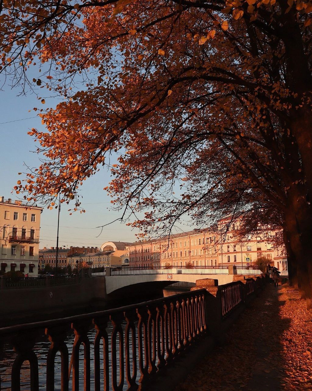 Autumn suits Peter very well - Telegram (link), Images, Observation, Saint Petersburg, Town, Autumn, Longpost