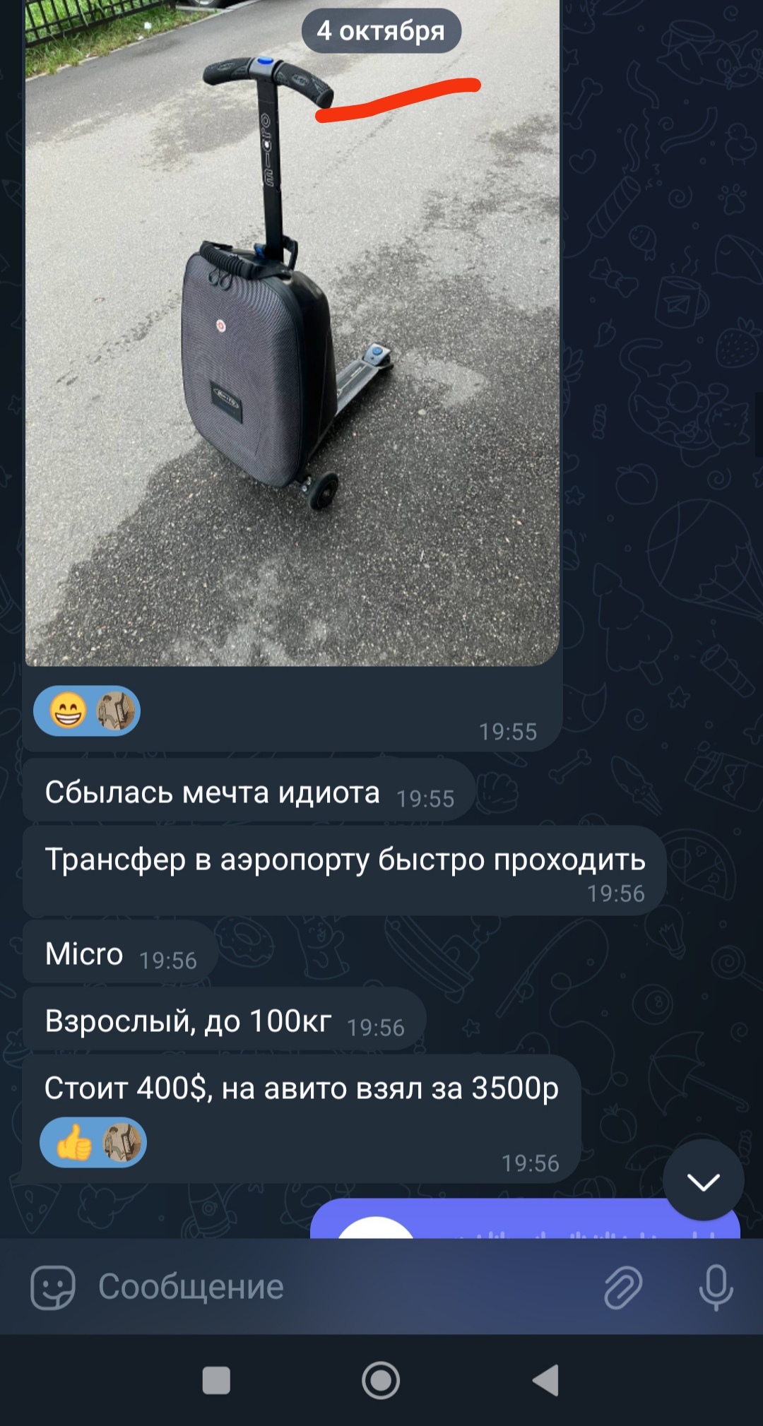 A friend bought a scooter with a suitcase for trips. The joy did not last long - My, Airplane, The airport, Purchase, Avito, Correspondence, Kick scooter, Suitcase, Longpost