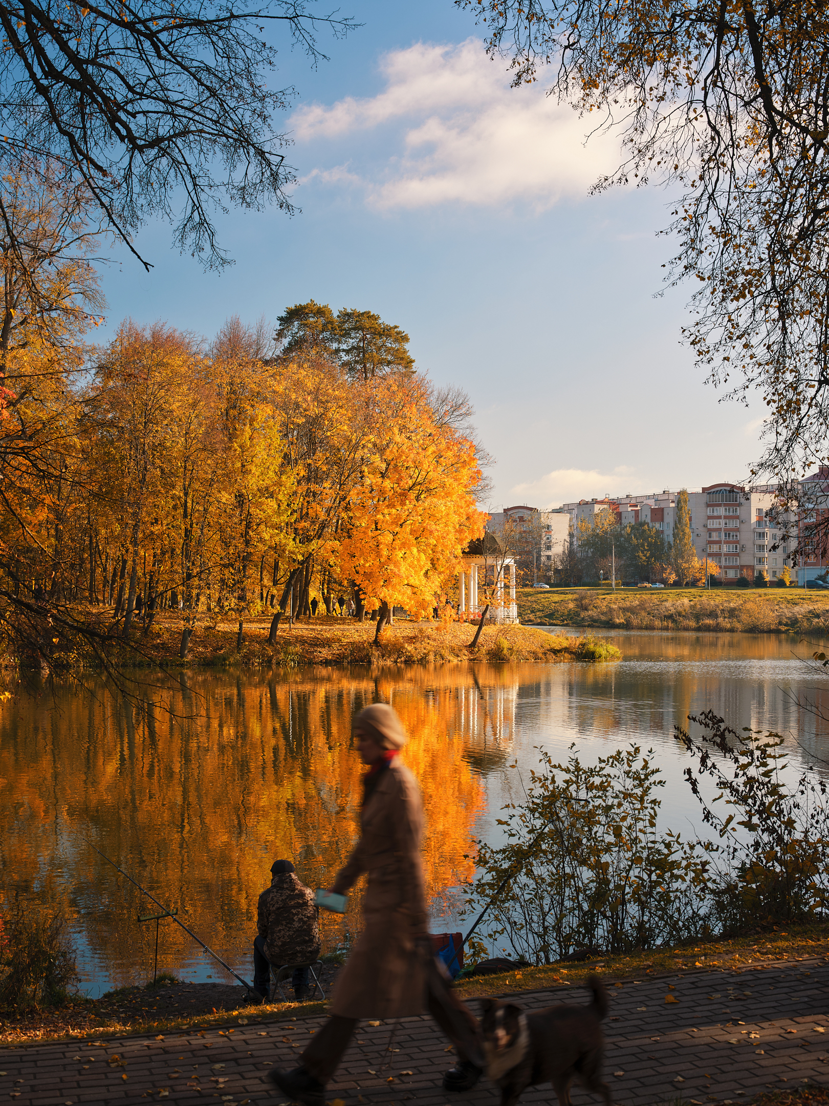 Photo from the park - My, The photo, Nature, Autumn, The park, Obninsk, Longpost