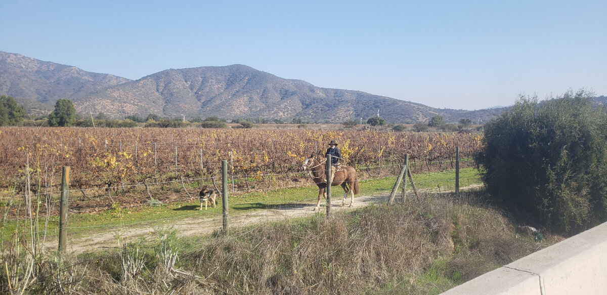 Overnight stay in freezing temperatures. Arrived in Santiago - My, A bike, Bike trip, Solo travel, Travels, South America, Chile, Santiago, Andes, Cyclist, Bike ride, The mountains, Road, Longpost