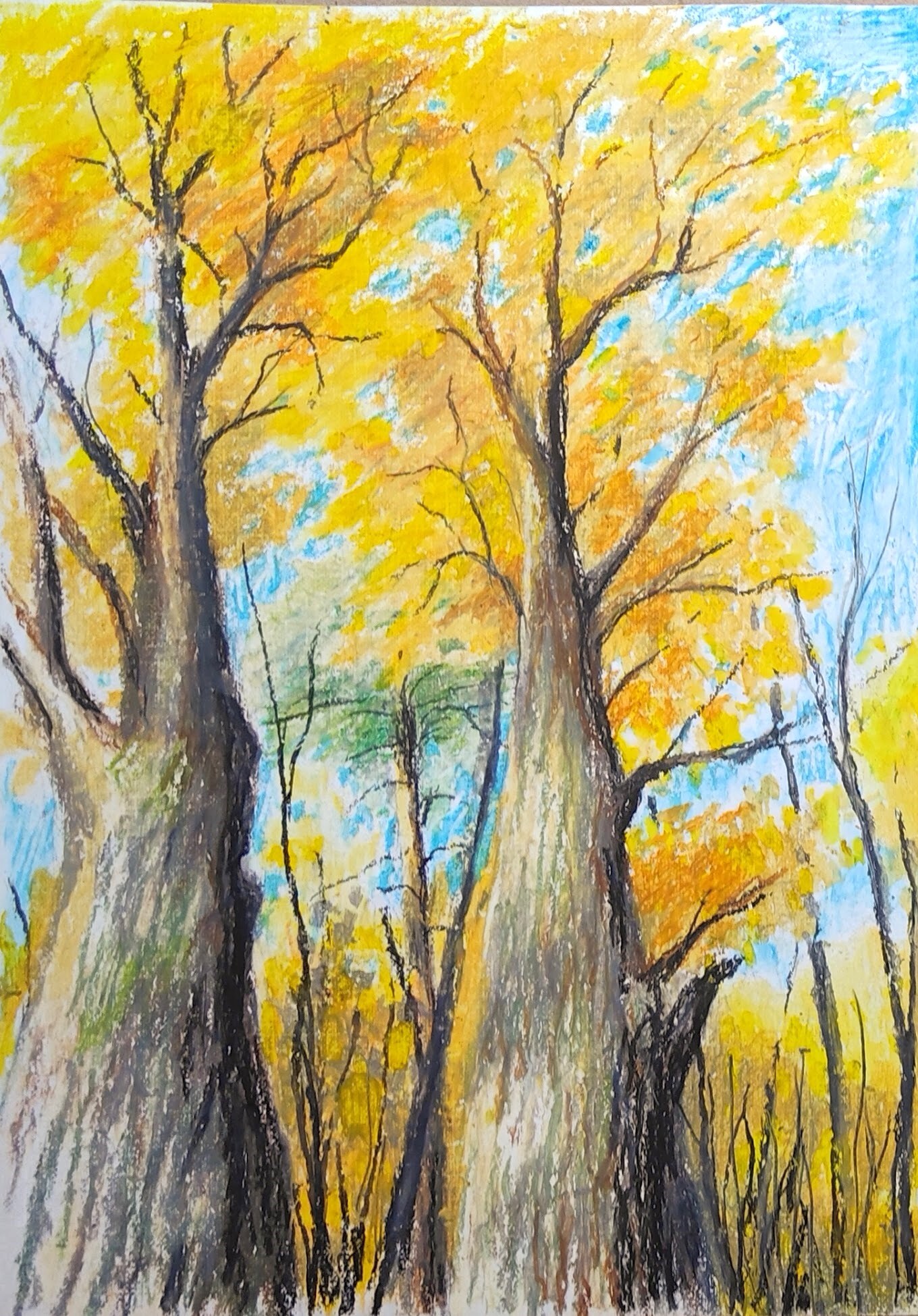 Bitsevsky forest. October (oil pastel drawing) - My, Art, Landscape, Drawing, Bitsevsky Park, Autumn, Autumn leaves, October, Etude, Longpost