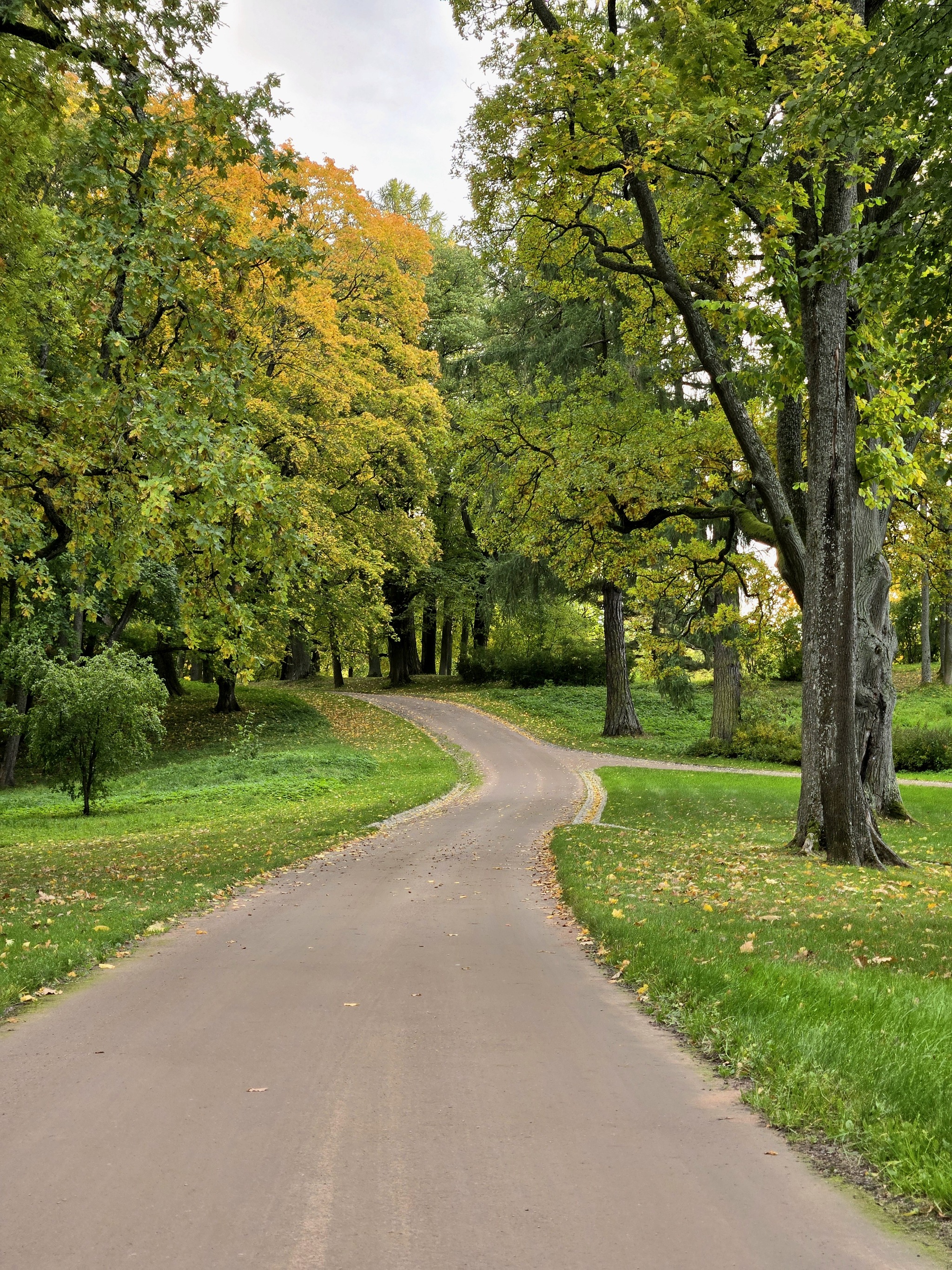 Reply to the post Weather - Saint Petersburg, Weather, The sun, Positive, Peterhof, Autumn, Reply to post, Longpost