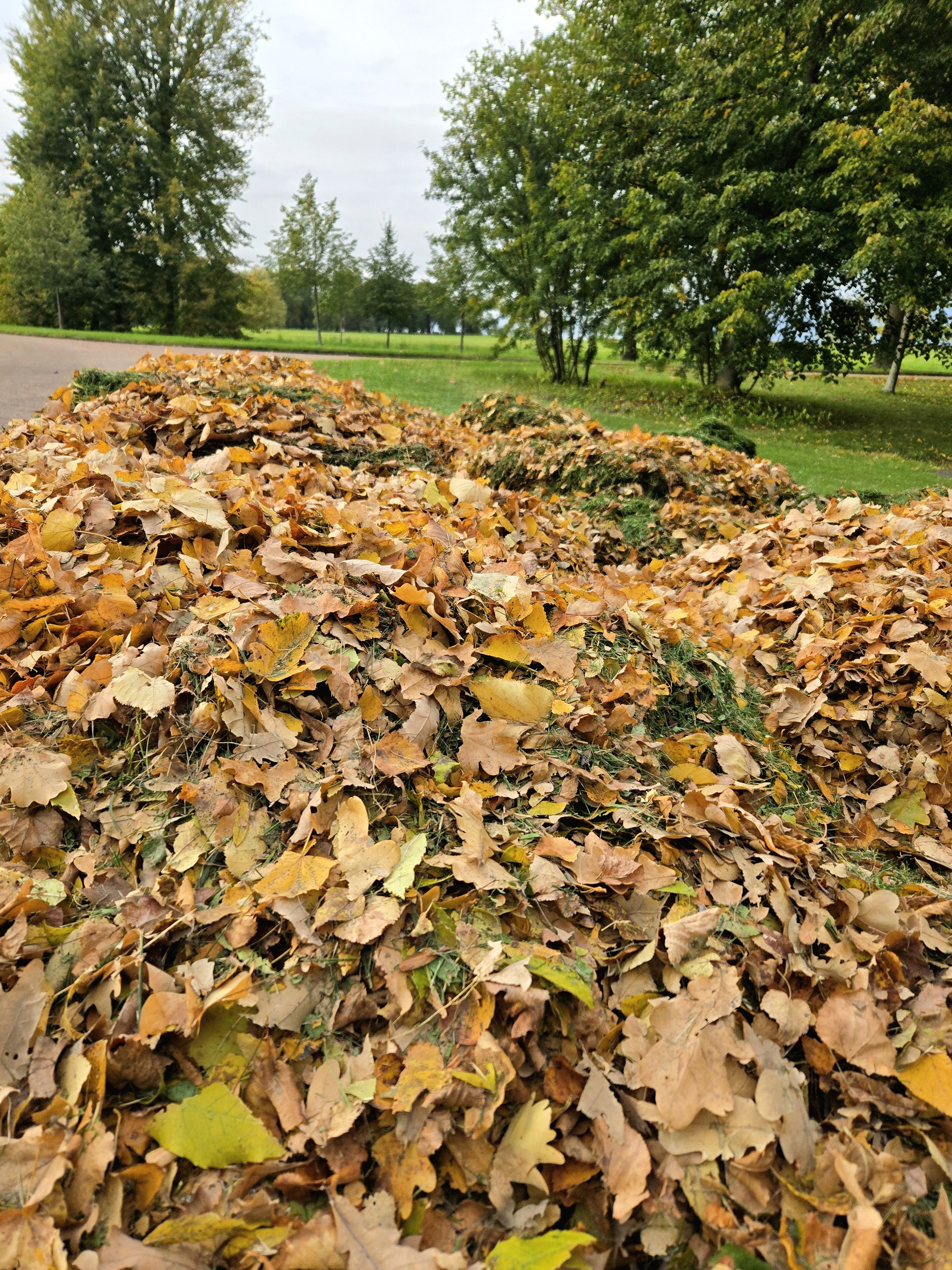 Reply to the post Weather - Saint Petersburg, Weather, The sun, Positive, Peterhof, Autumn, Reply to post, Longpost