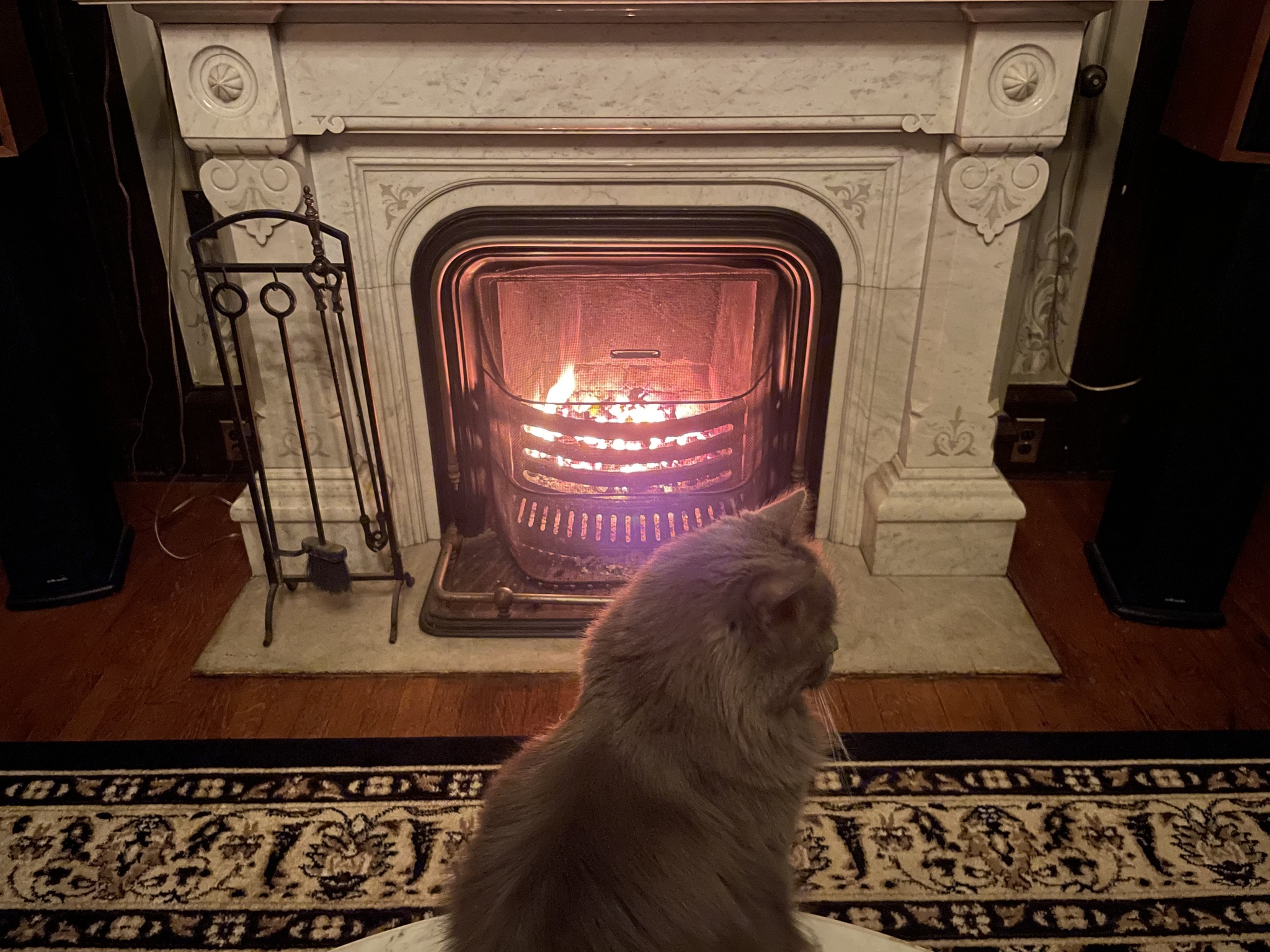 Coal fireplace - My, Personal experience, Victorian era, Fireplace, Coal, Mat, Longpost