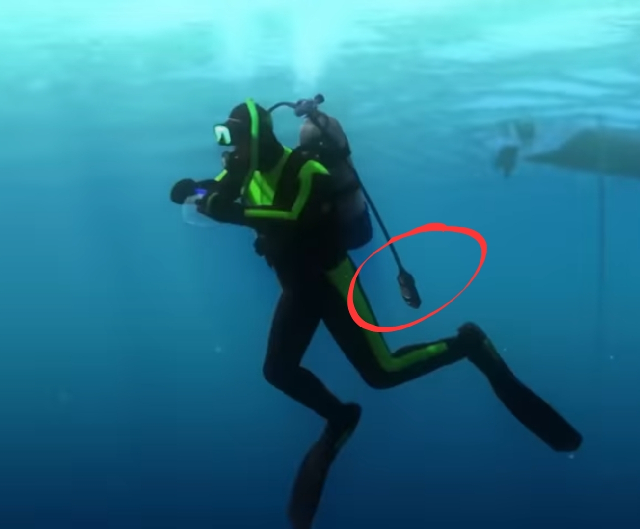 And one more detail in Pixar cartoons - My, Ocean, Friday tag is mine, Scuba diver, Equipment, Safety, Pixar, Пасхалка, Finding Nemo, Longpost