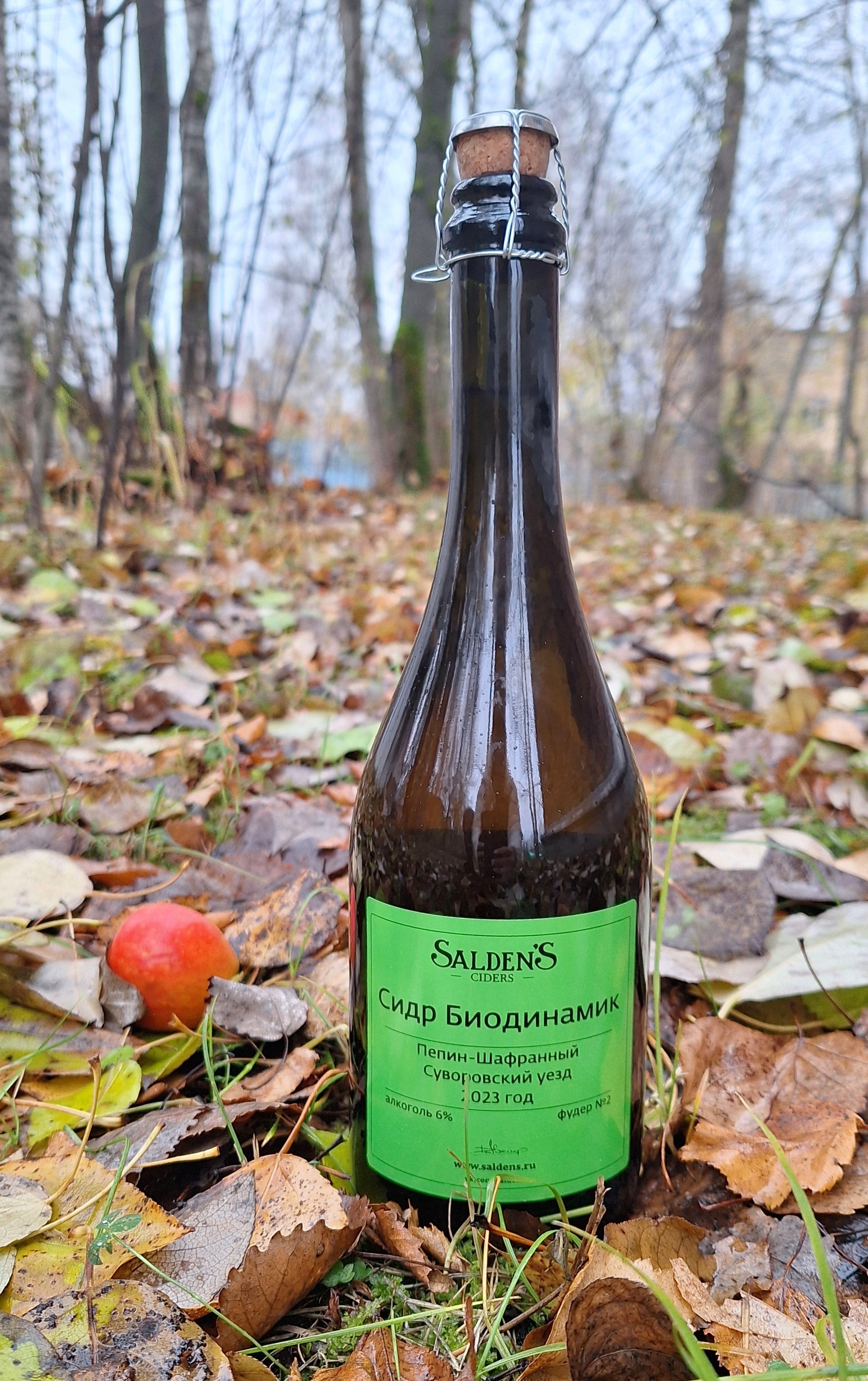 Cider Saldens Biodynamic Pepin-Saffron Suvorovsky district 2023, foeder 2 - My, Overview, Cider, Saldens Brewery, Alcohol, Tula, Youtube, Video, Longpost