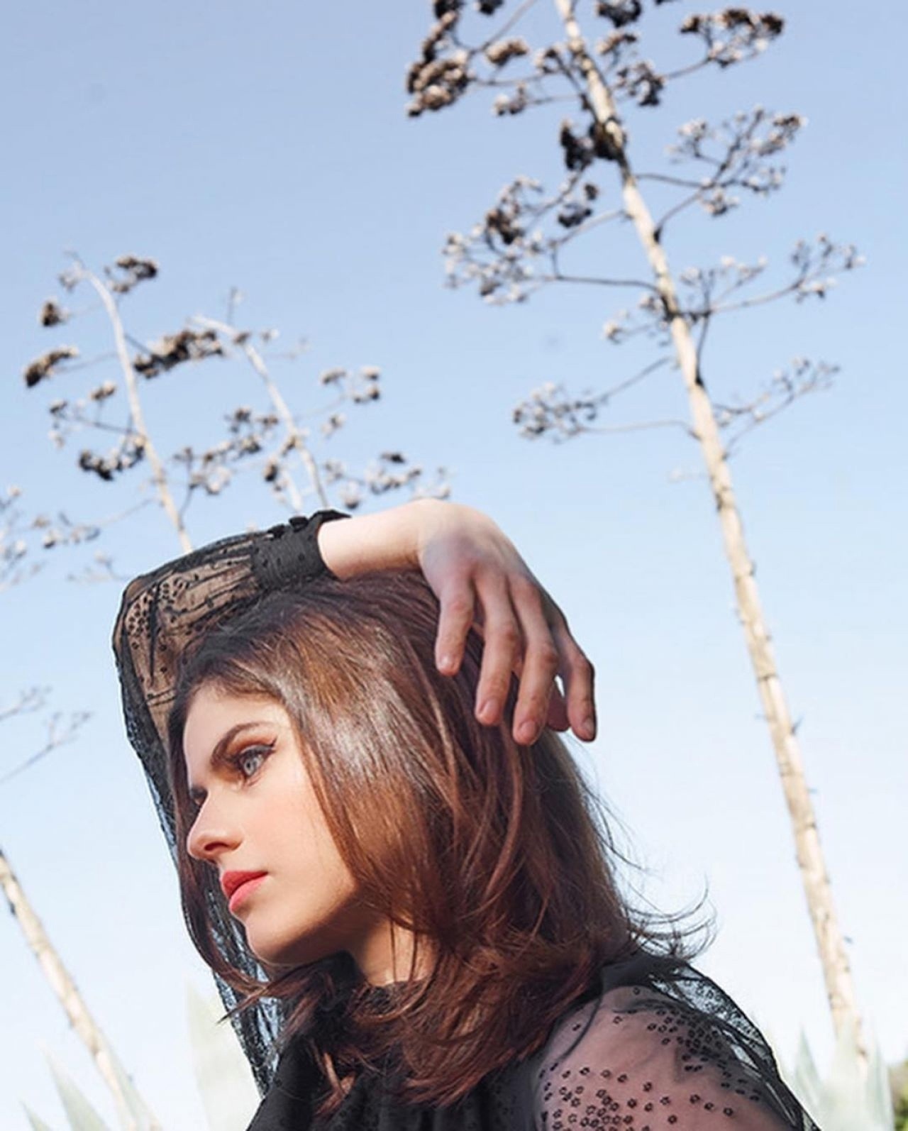 Photoshoot with Alexandra Daddario, 2019 - Alexandra Daddario, PHOTOSESSION, Actors and actresses, Longpost