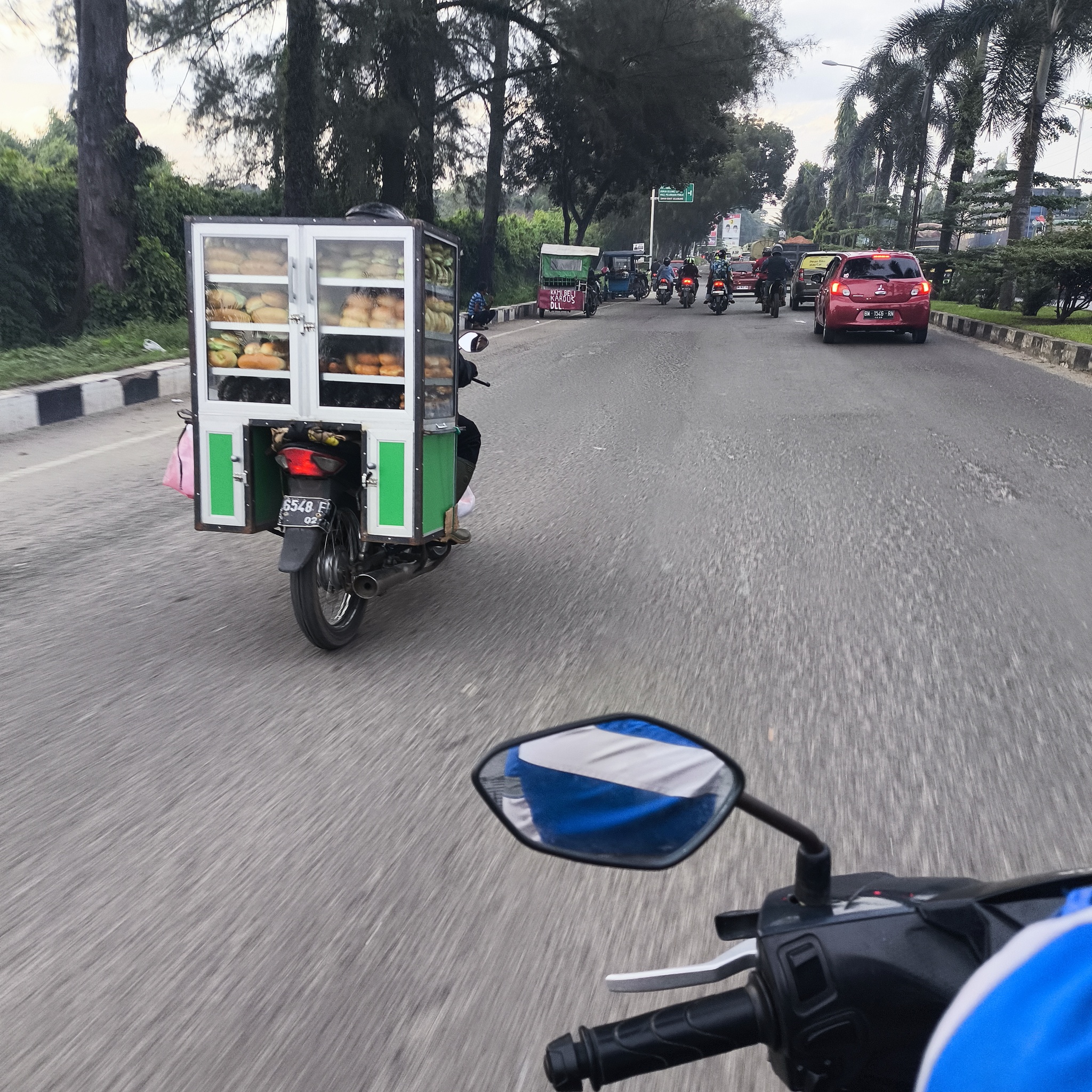 Melanesia Travel Diary. Indonesia. Day 121. Aquarium Keeping - My, Around the world, Informative, Travels, Drive, Indonesia, Sumatra, Life stories, Video, Vertical video, Longpost