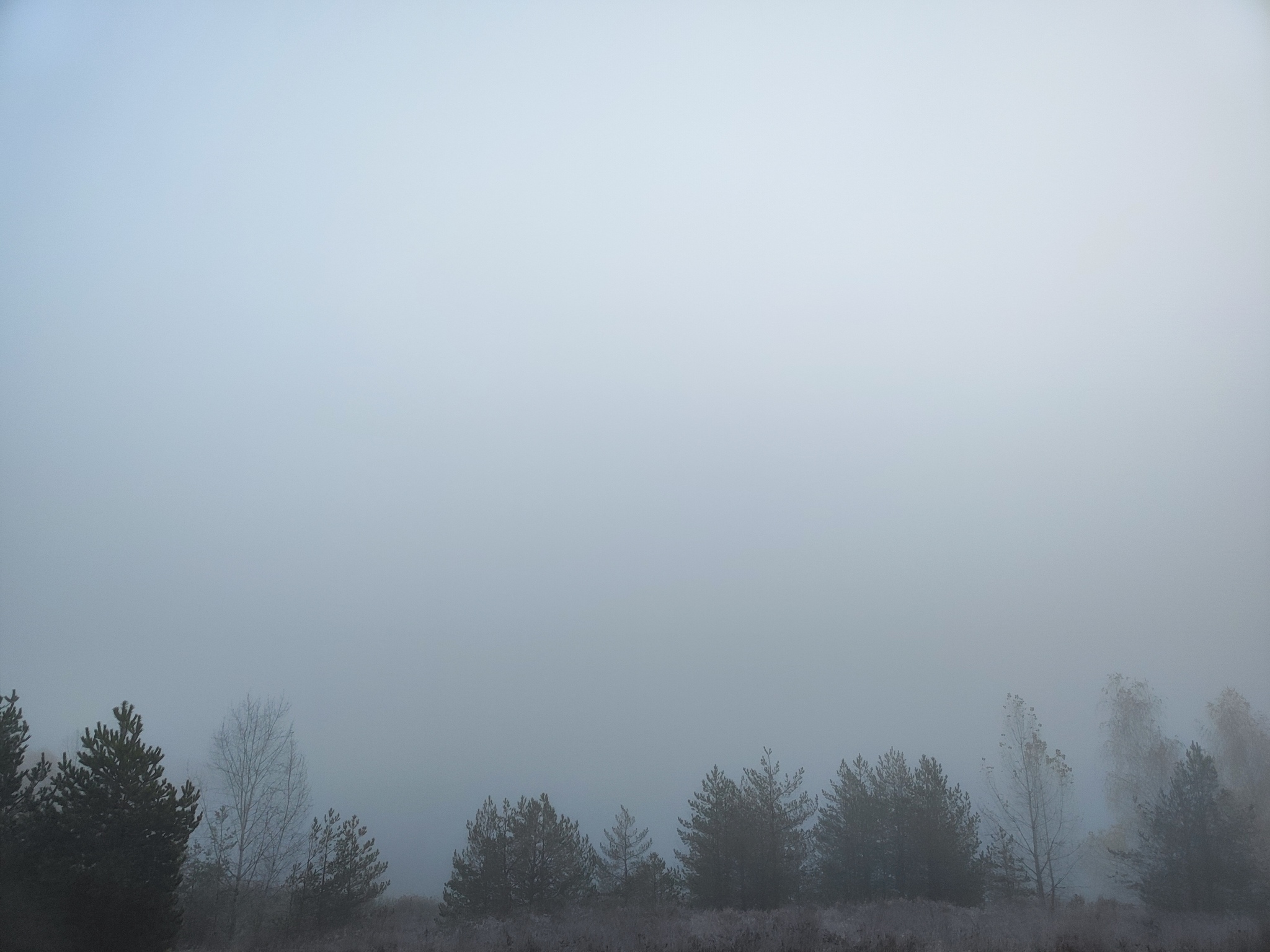 Foggy Prospects - My, Run, Sport, Forest, Morning, Good morning, Lake, Career, Fog, Autumn, October, Kazan, Yudino, The photo, Mobile photography, Longpost, Sunday