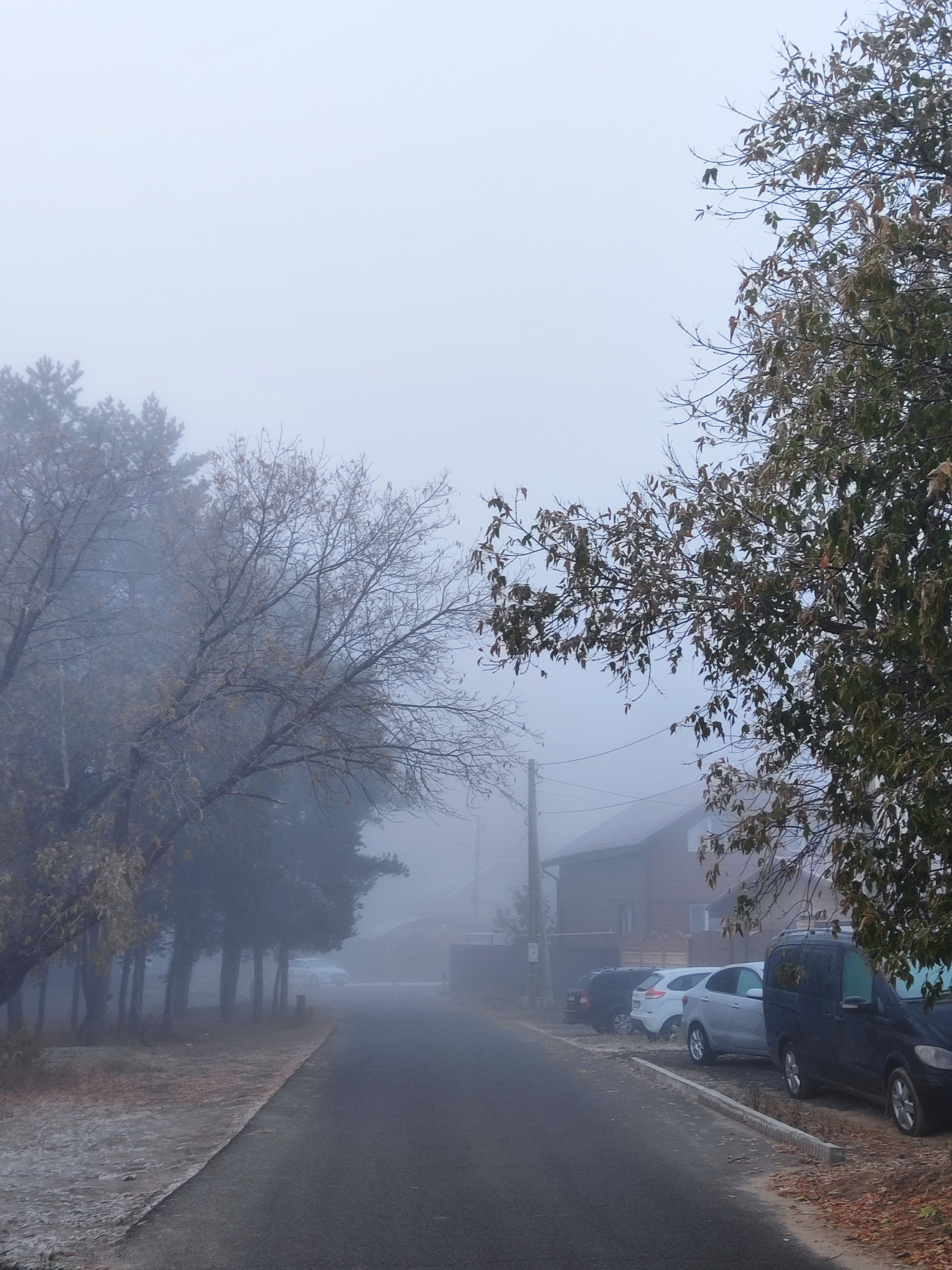 Foggy Prospects - My, Run, Sport, Forest, Morning, Good morning, Lake, Career, Fog, Autumn, October, Kazan, Yudino, The photo, Mobile photography, Longpost, Sunday